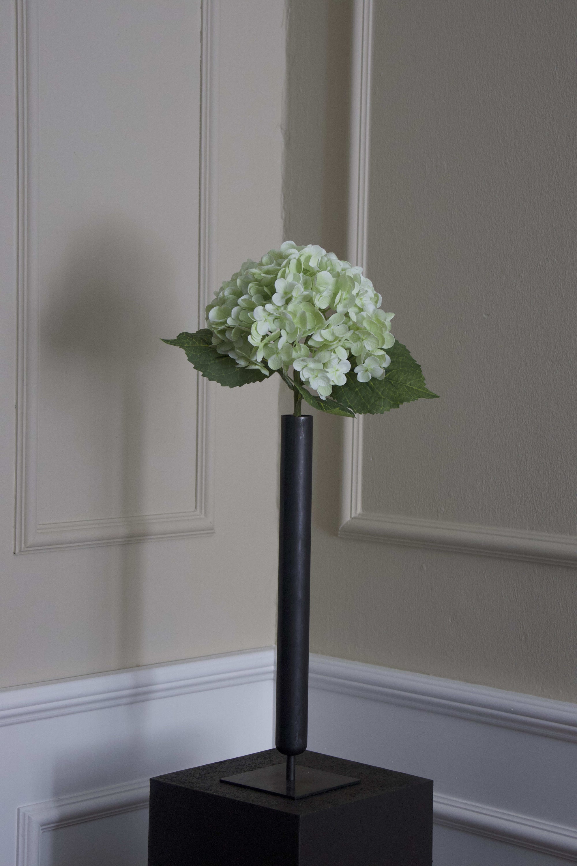 Hortensia