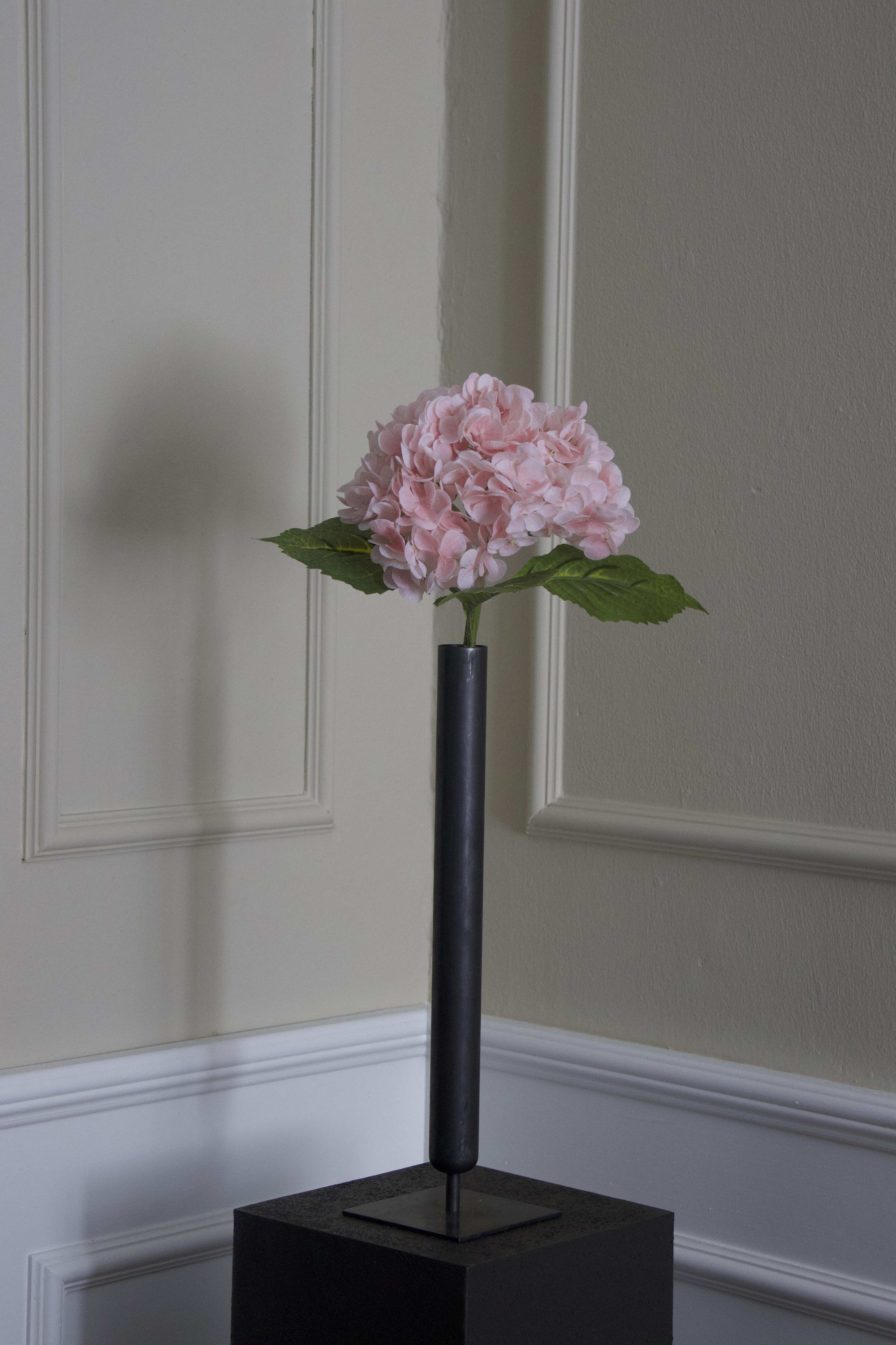 Hortensia