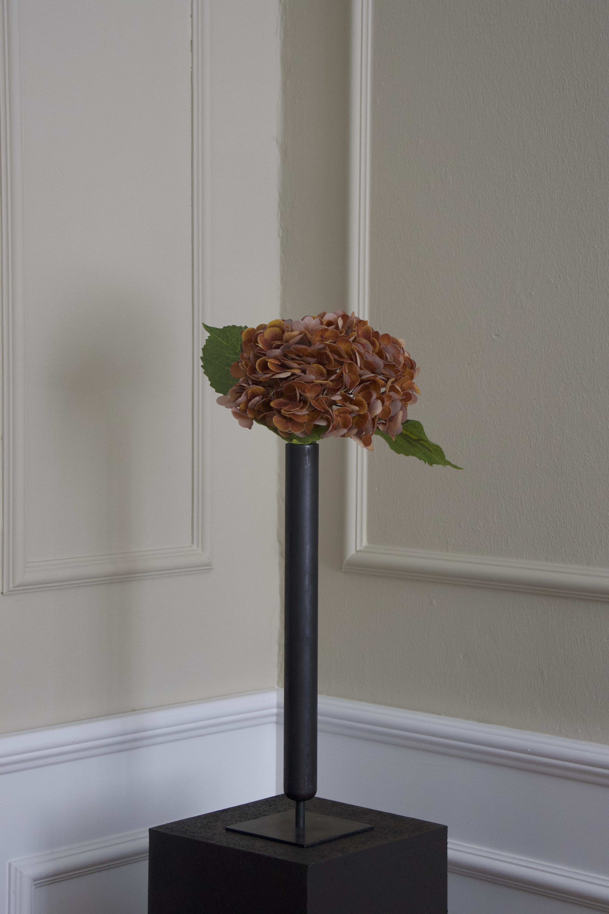 Hortensia