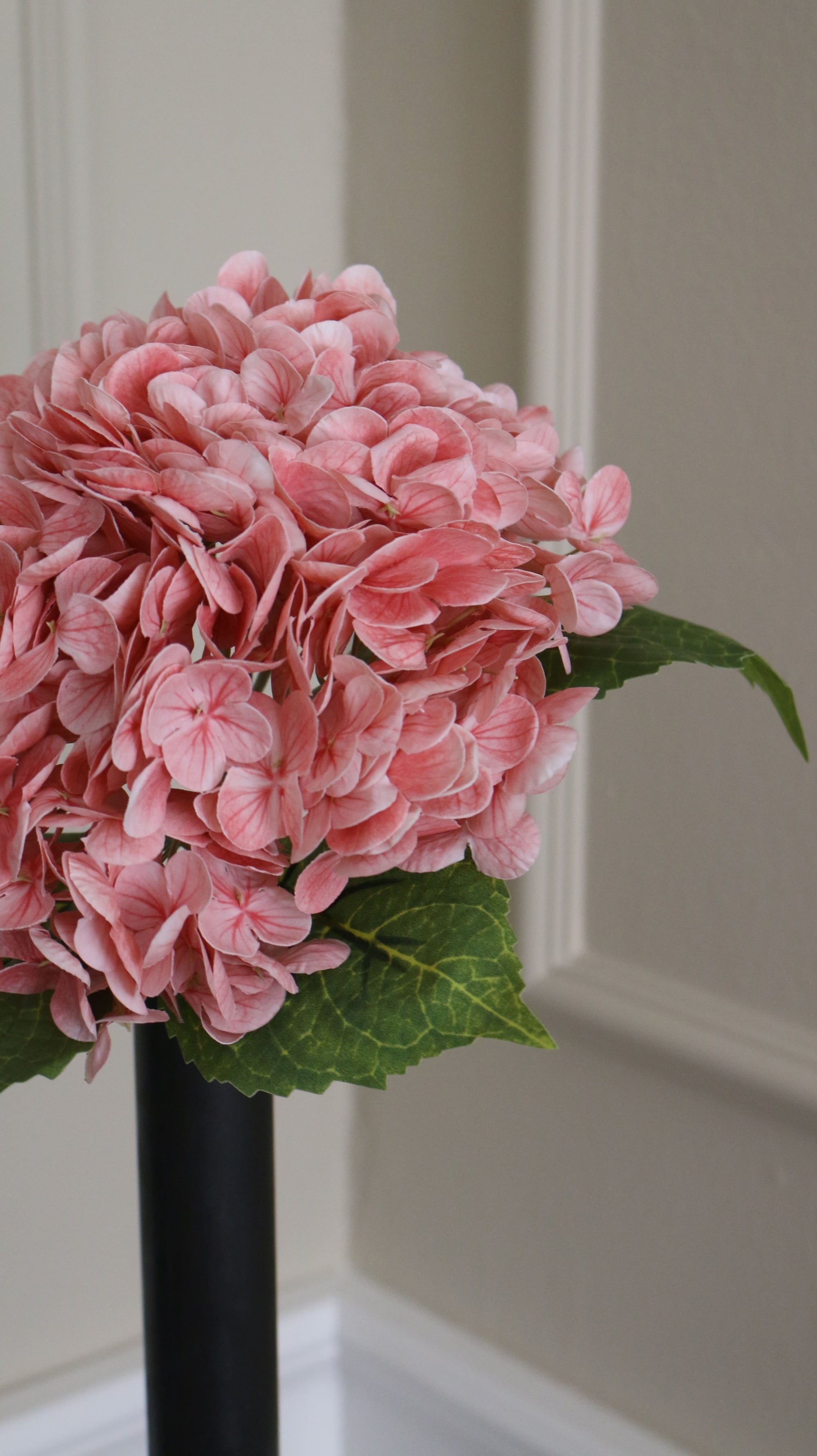 Hortensia