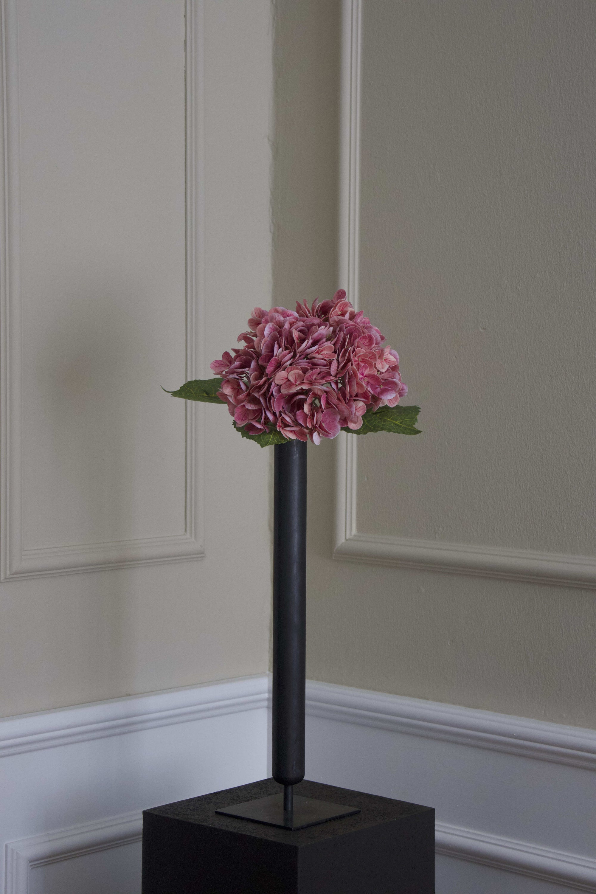 Hortensia