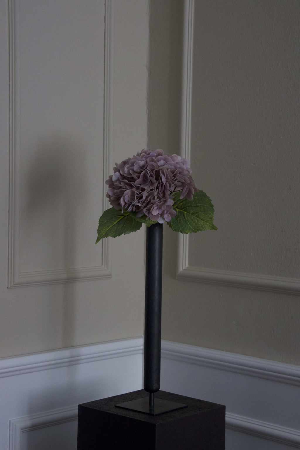 Hortensia