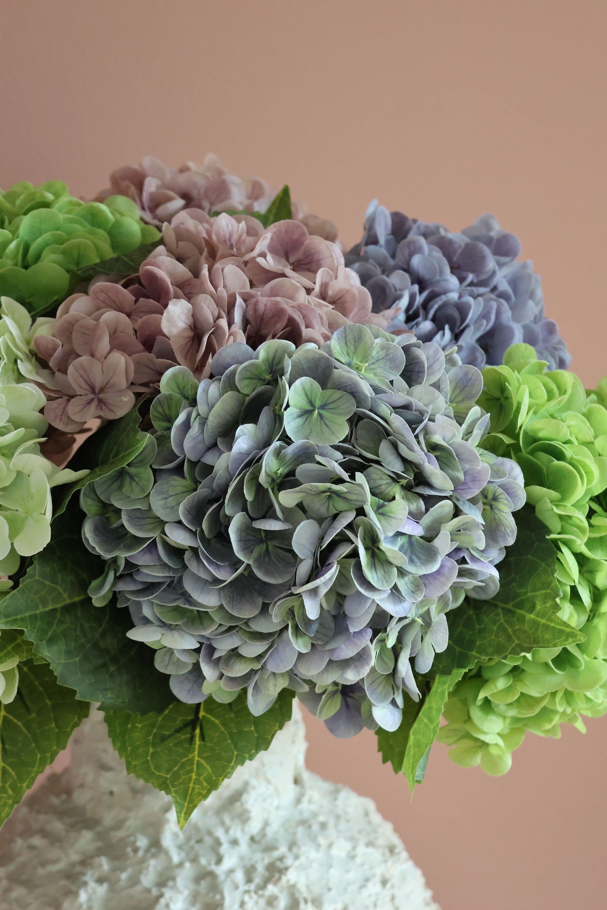 Hydrangea Crush