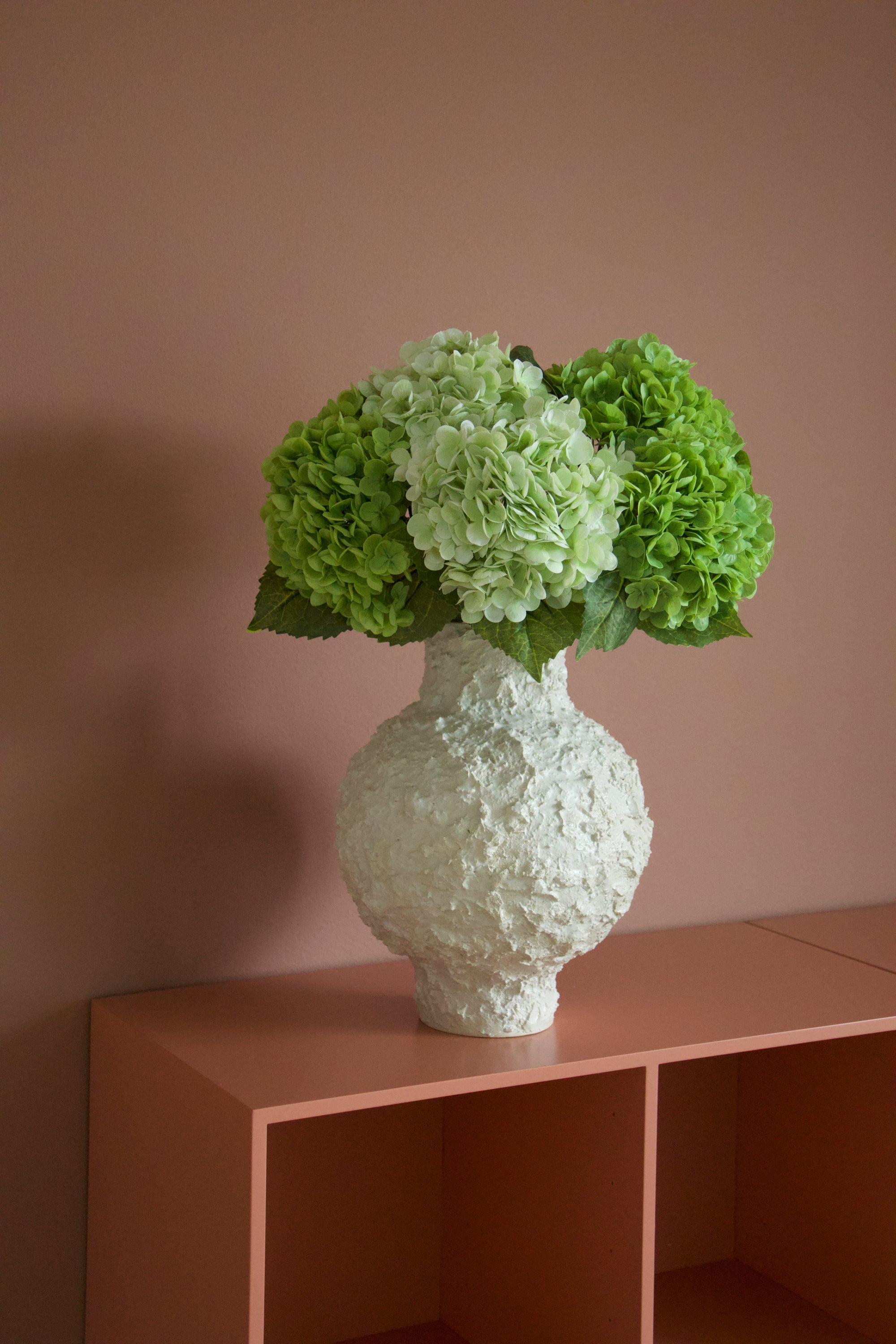 Hydrangea Lover