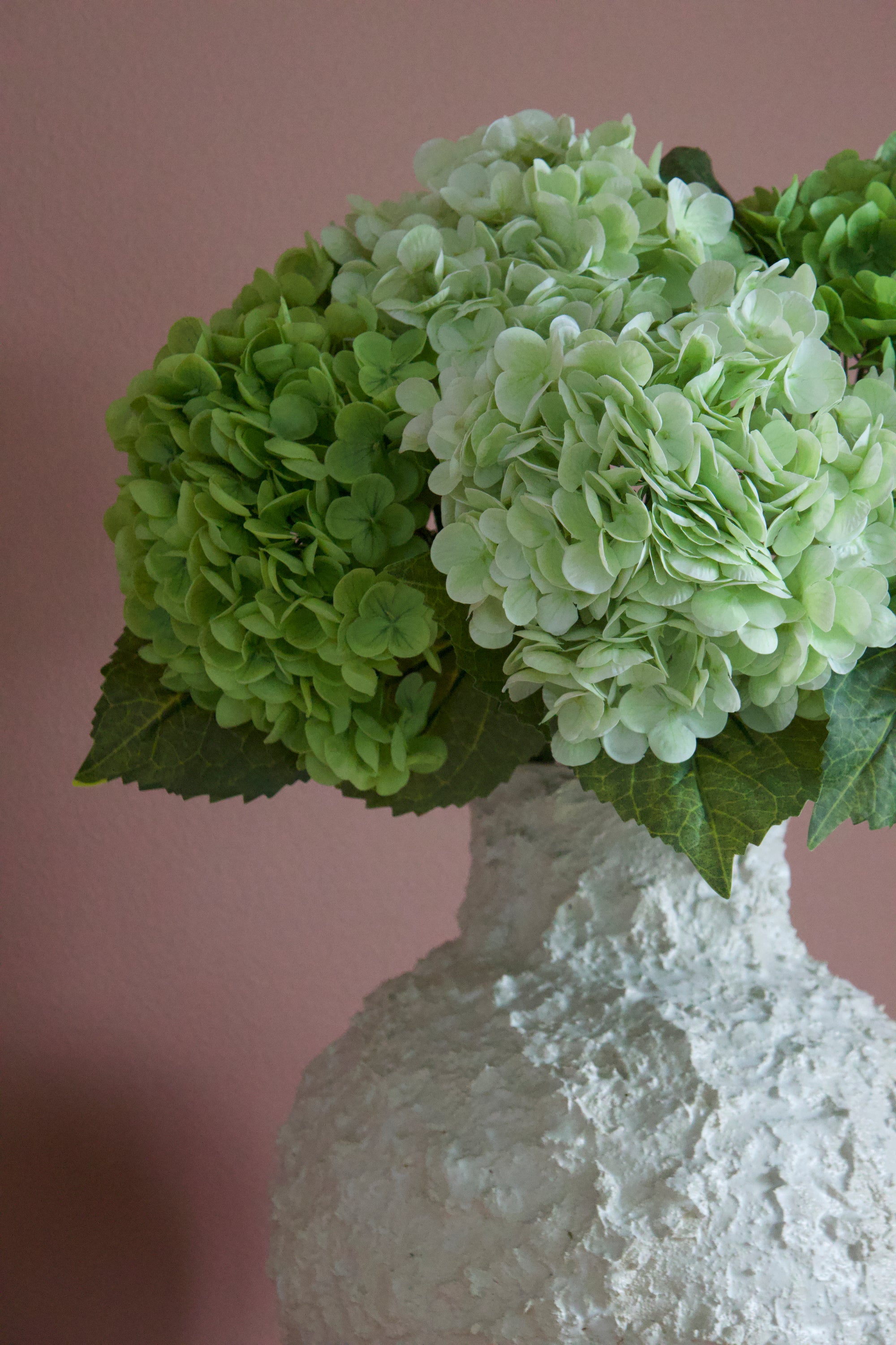 Hydrangea Lover