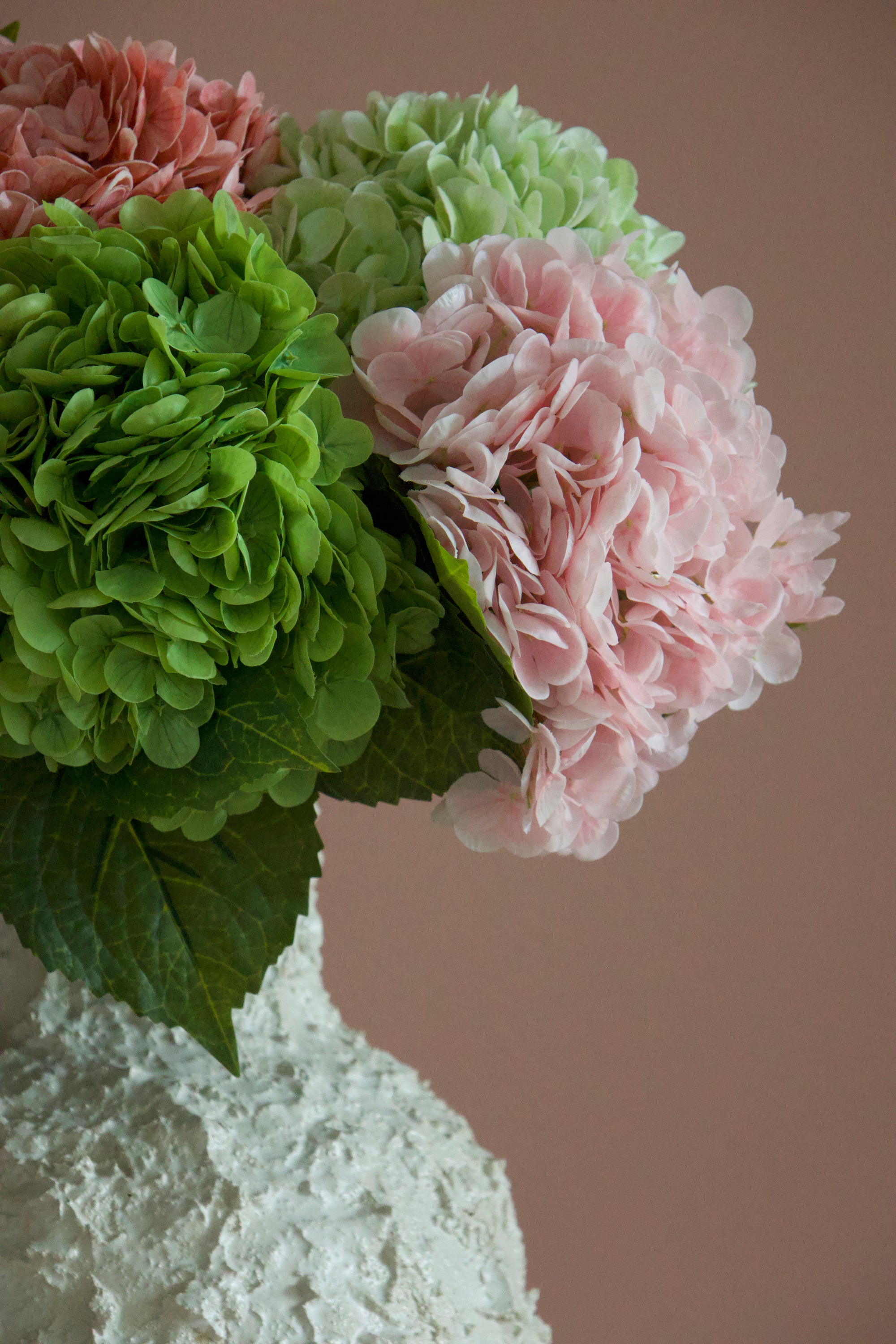 Hydrangea Crush