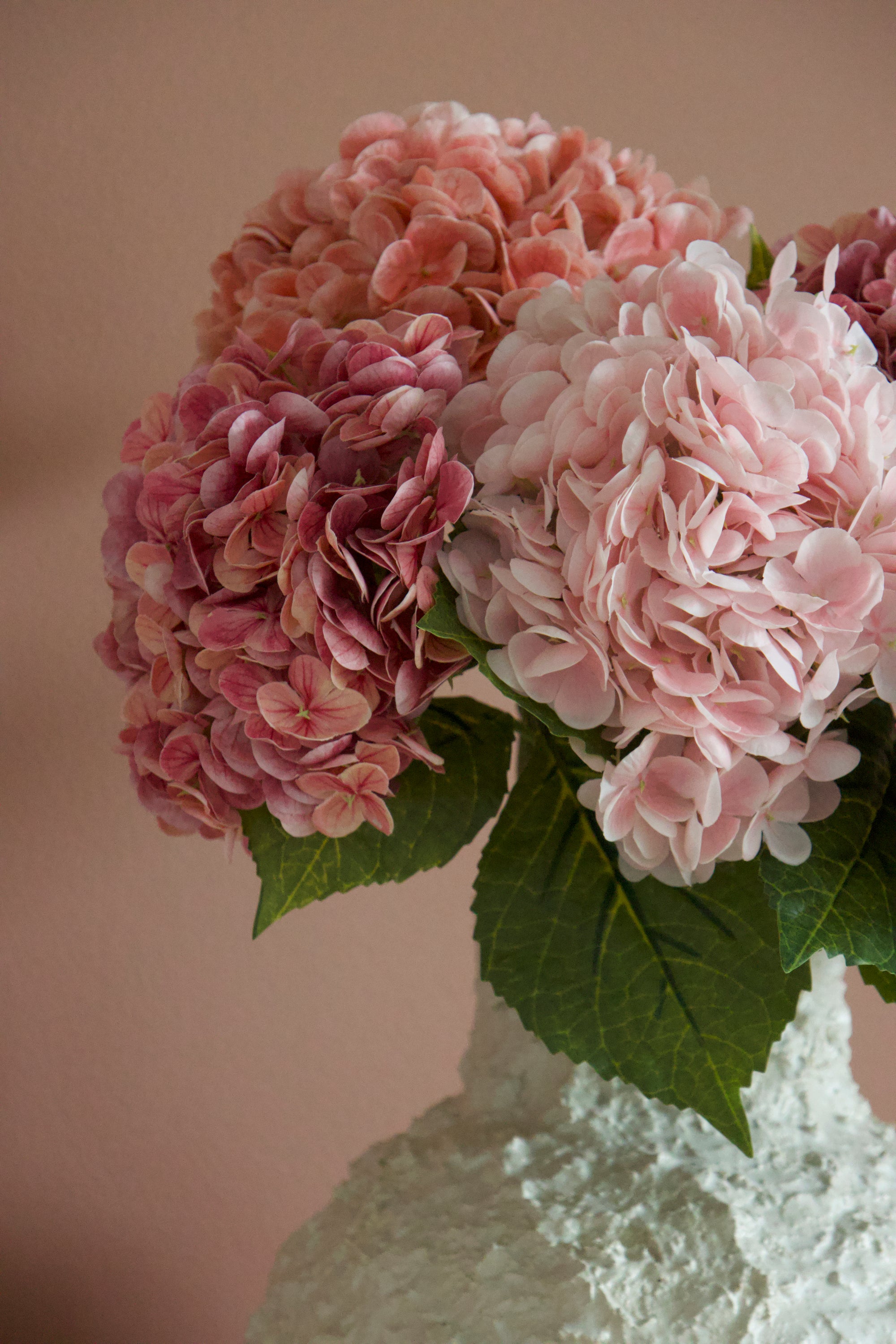 Hydrangea Lover