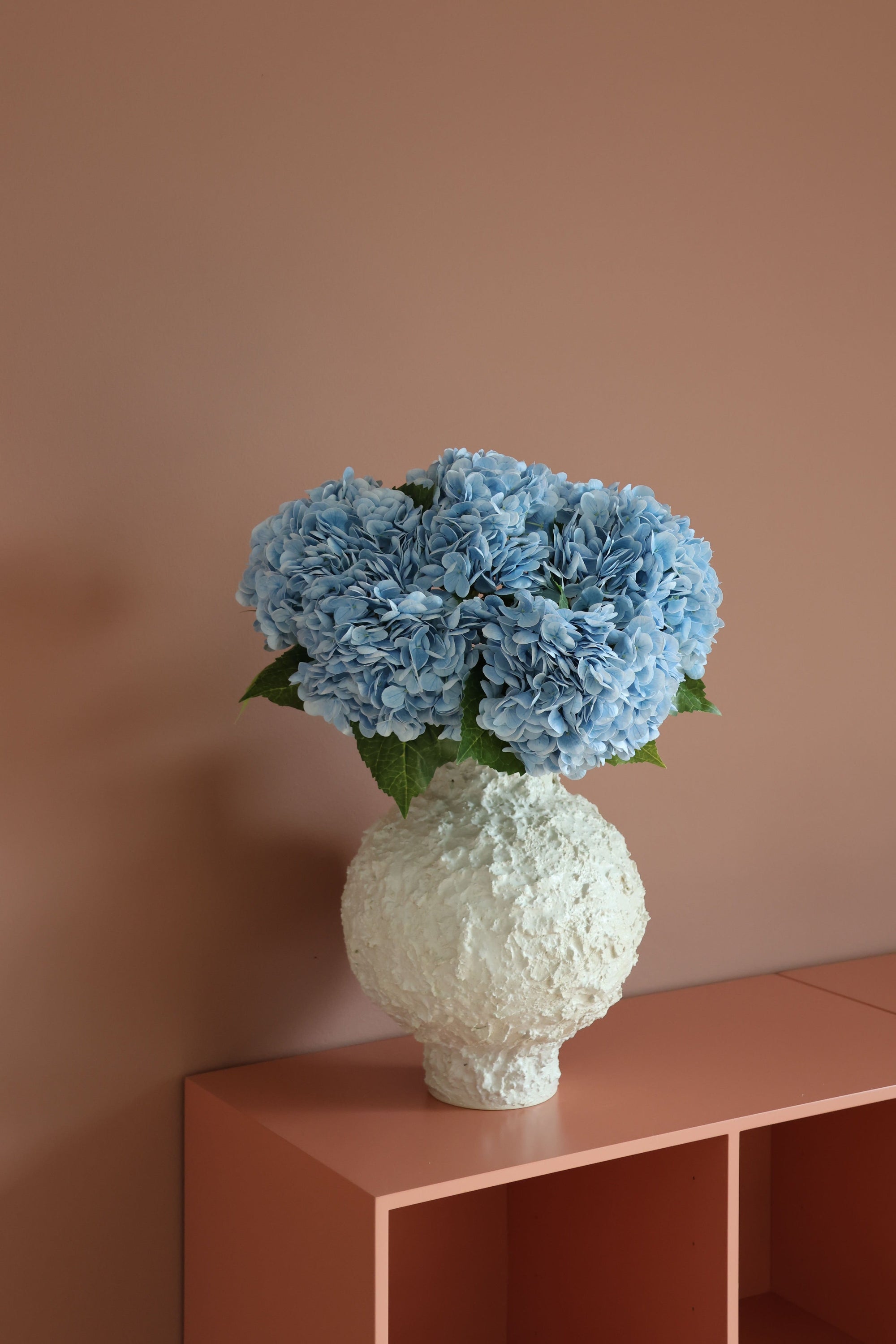 Hydrangea Lover