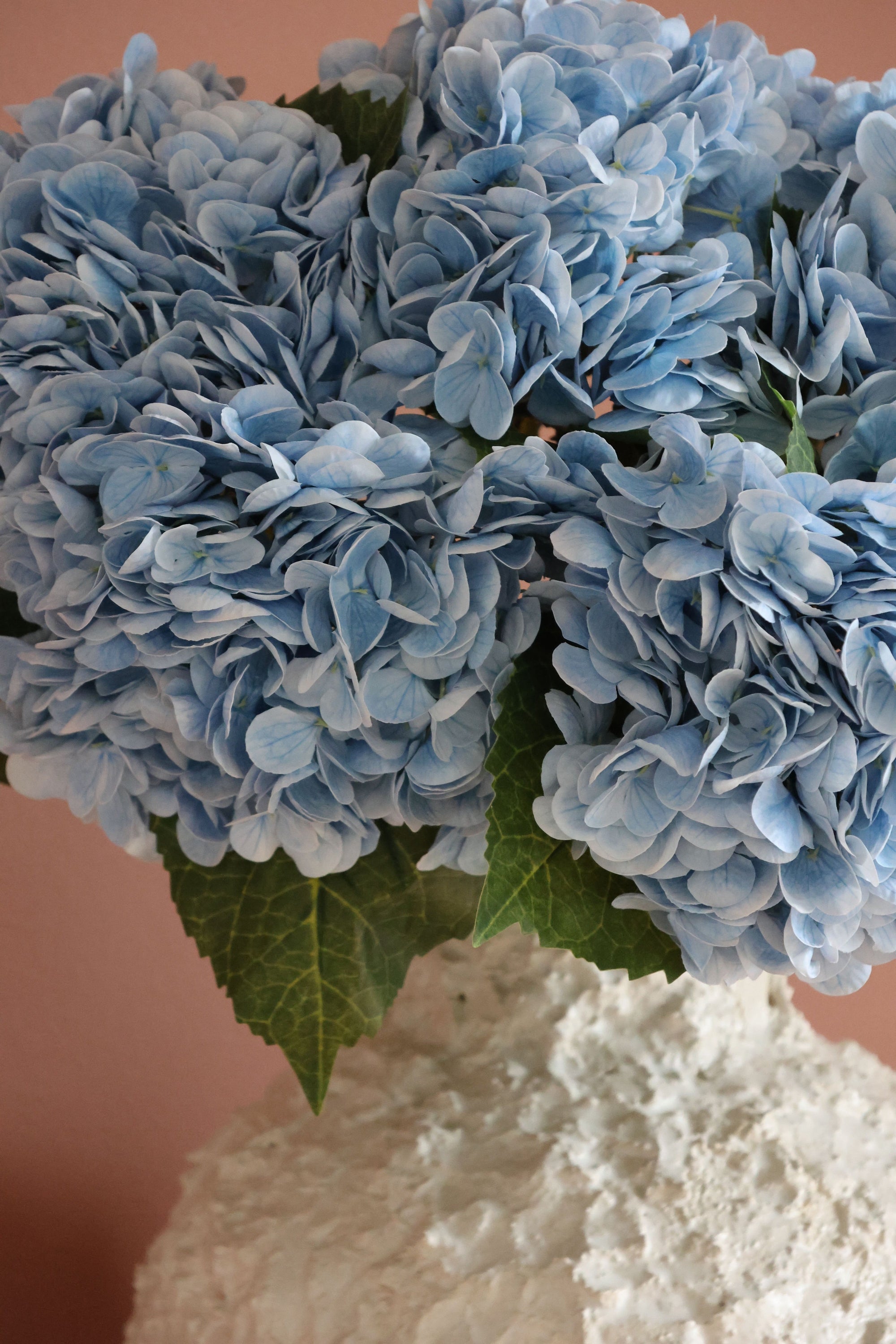 Hydrangea Lover