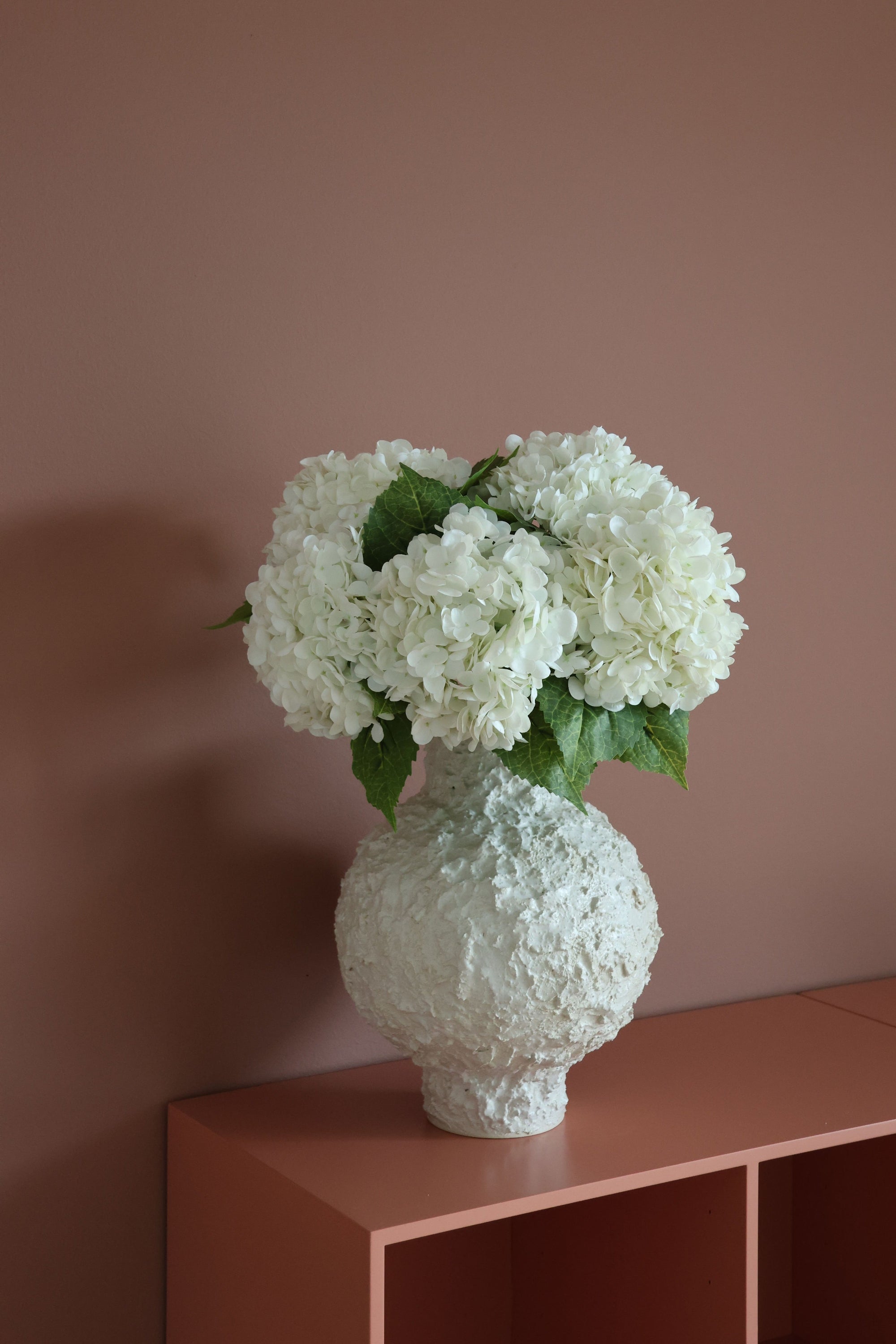 Hydrangea Lover