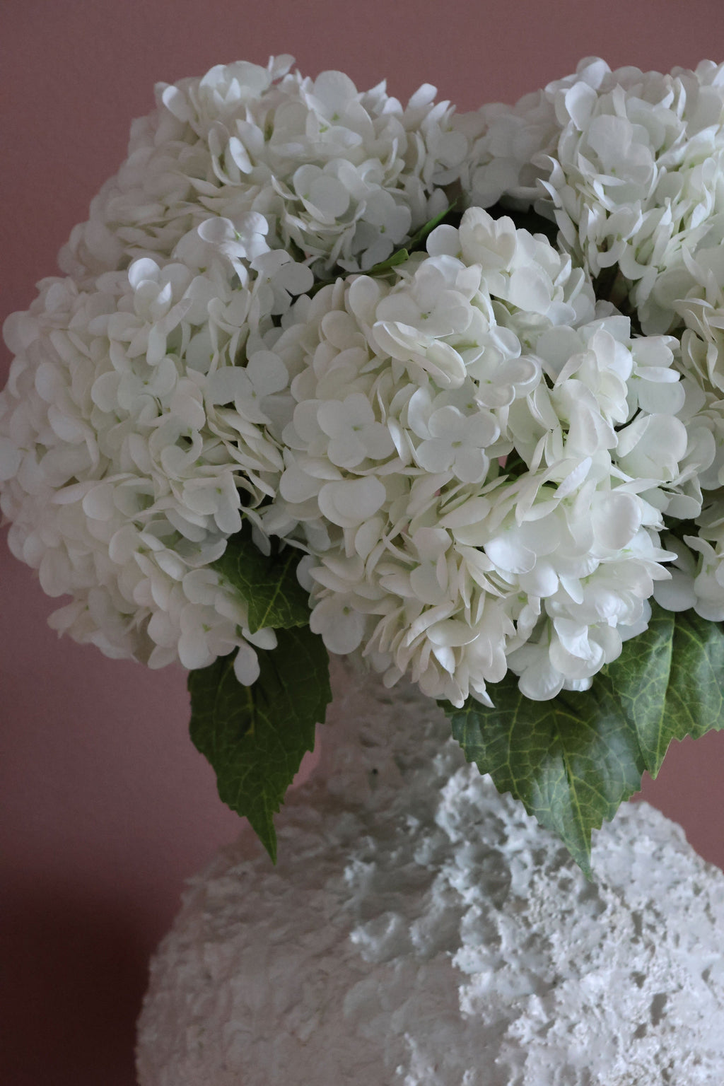 Hydrangea Lover