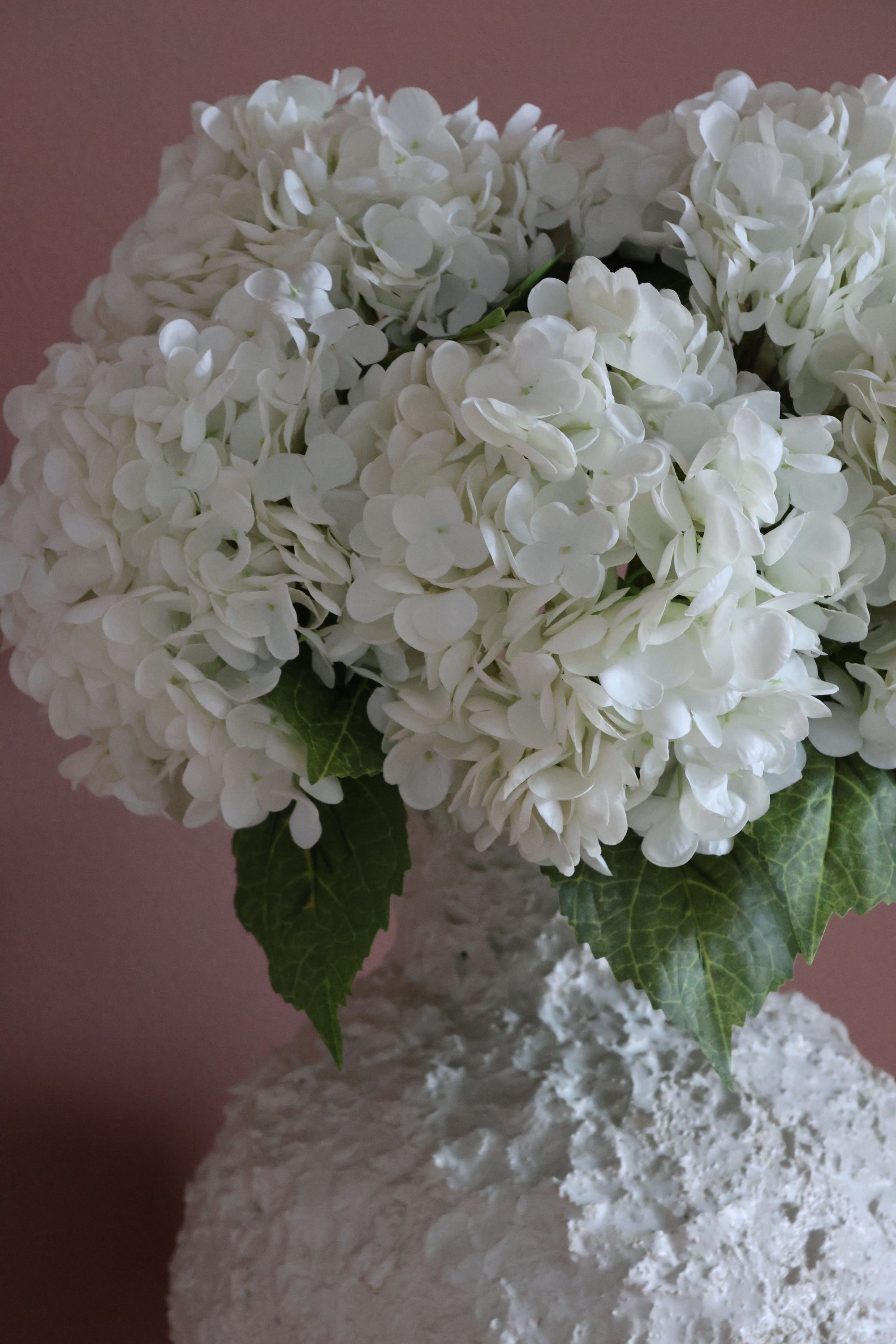Hydrangea Lover