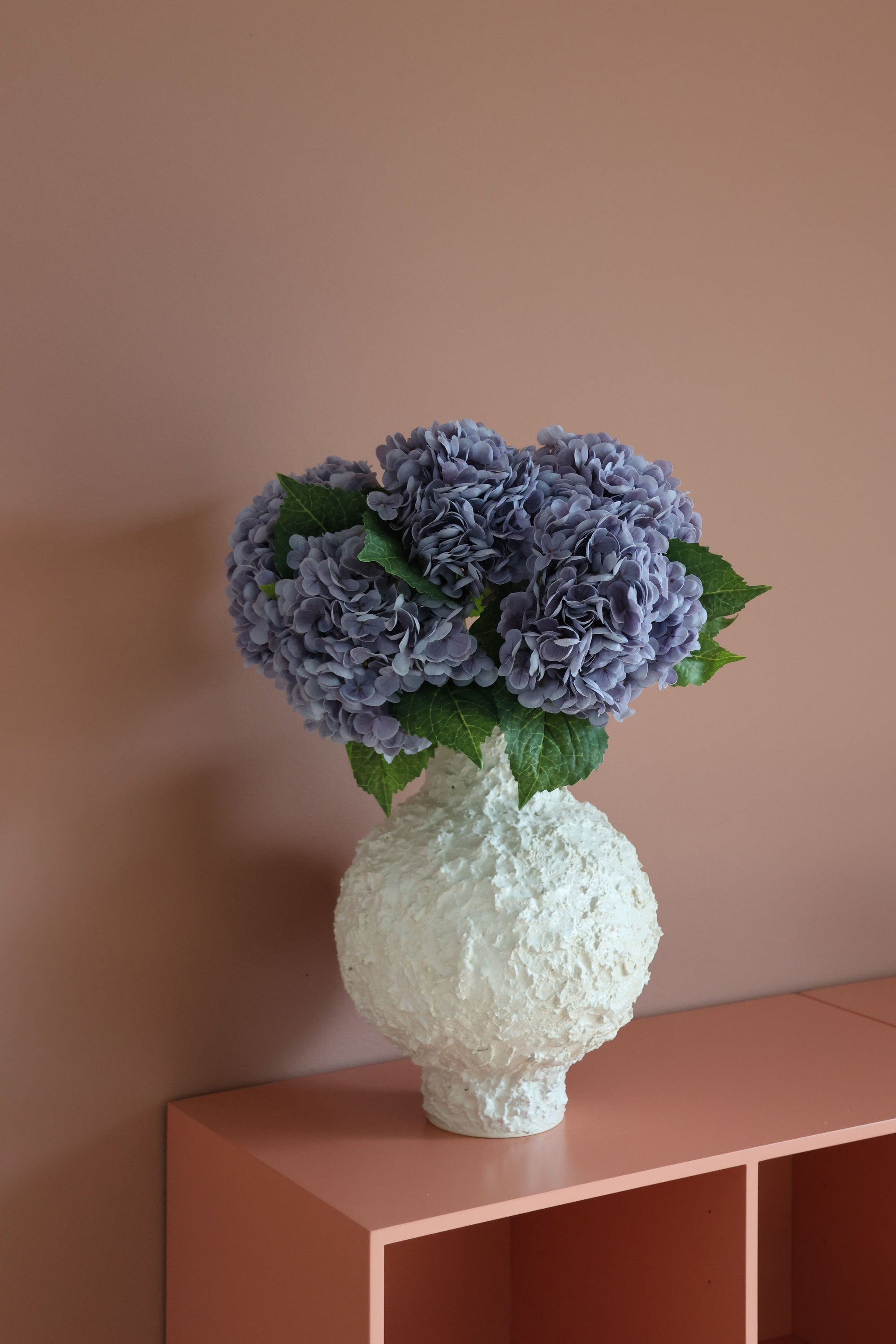Hydrangea Lover