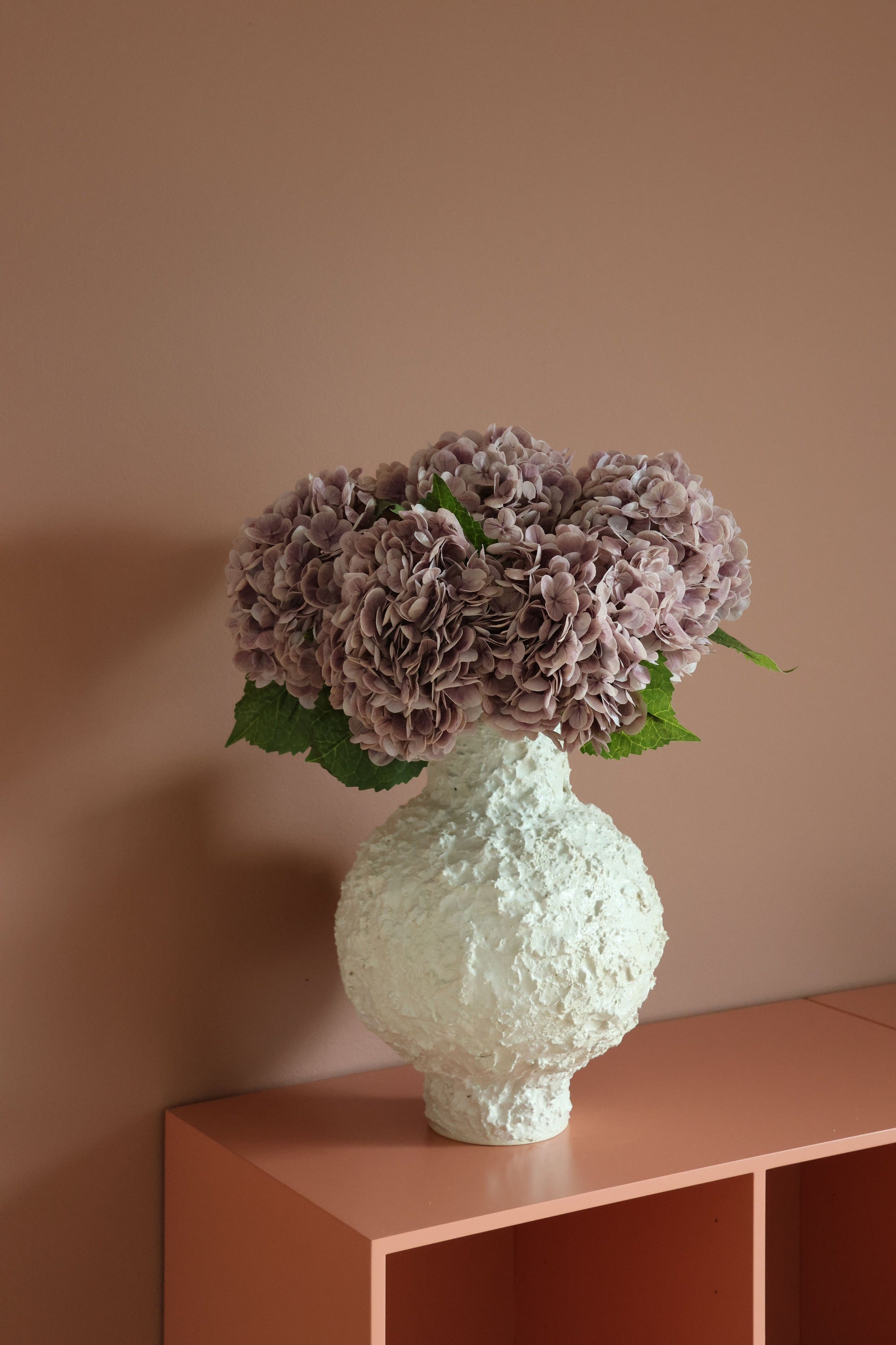 Hydrangea Lover
