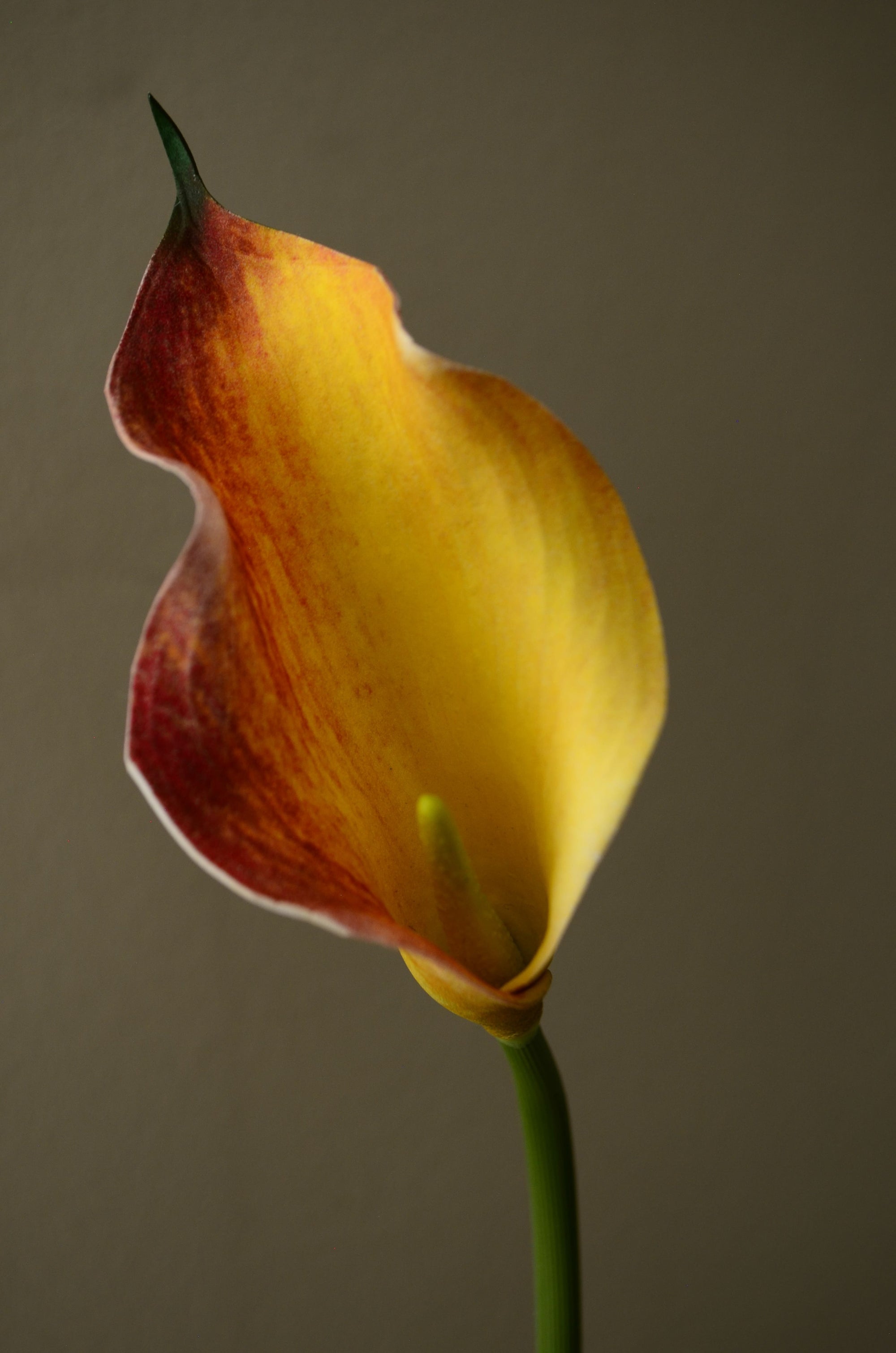 Kunstig Calla Lilje