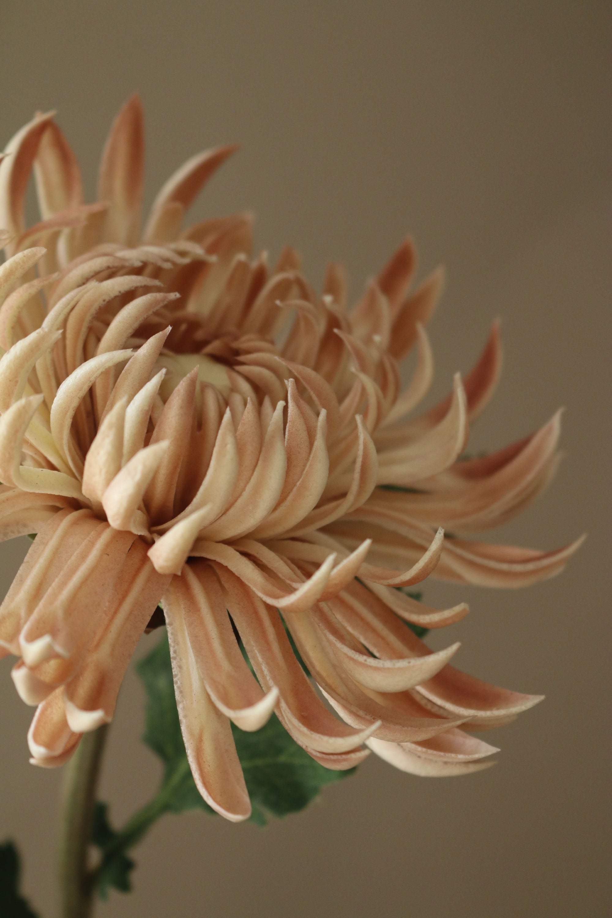 Kunstig Chrysanthemum