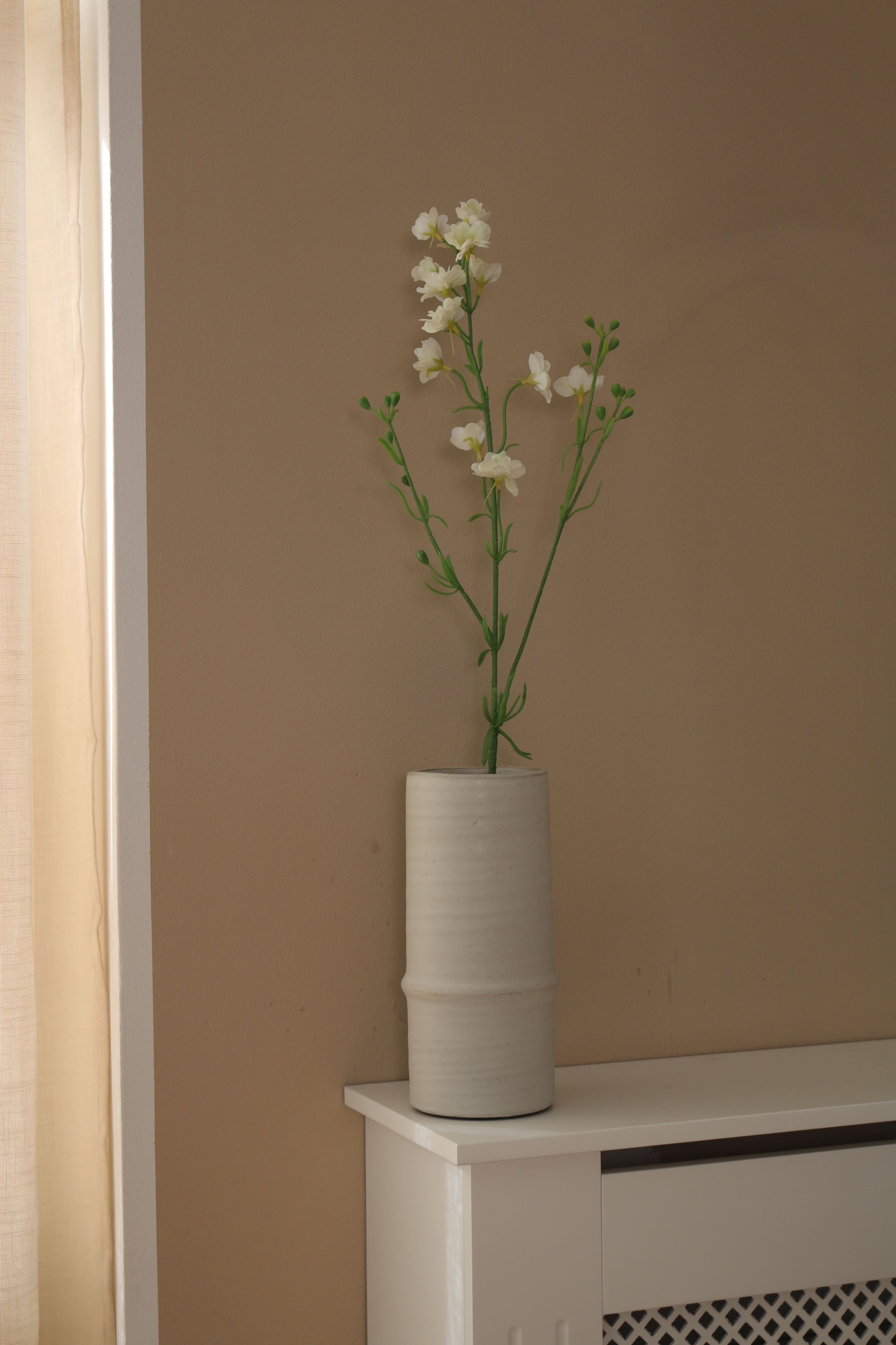 Delphinium