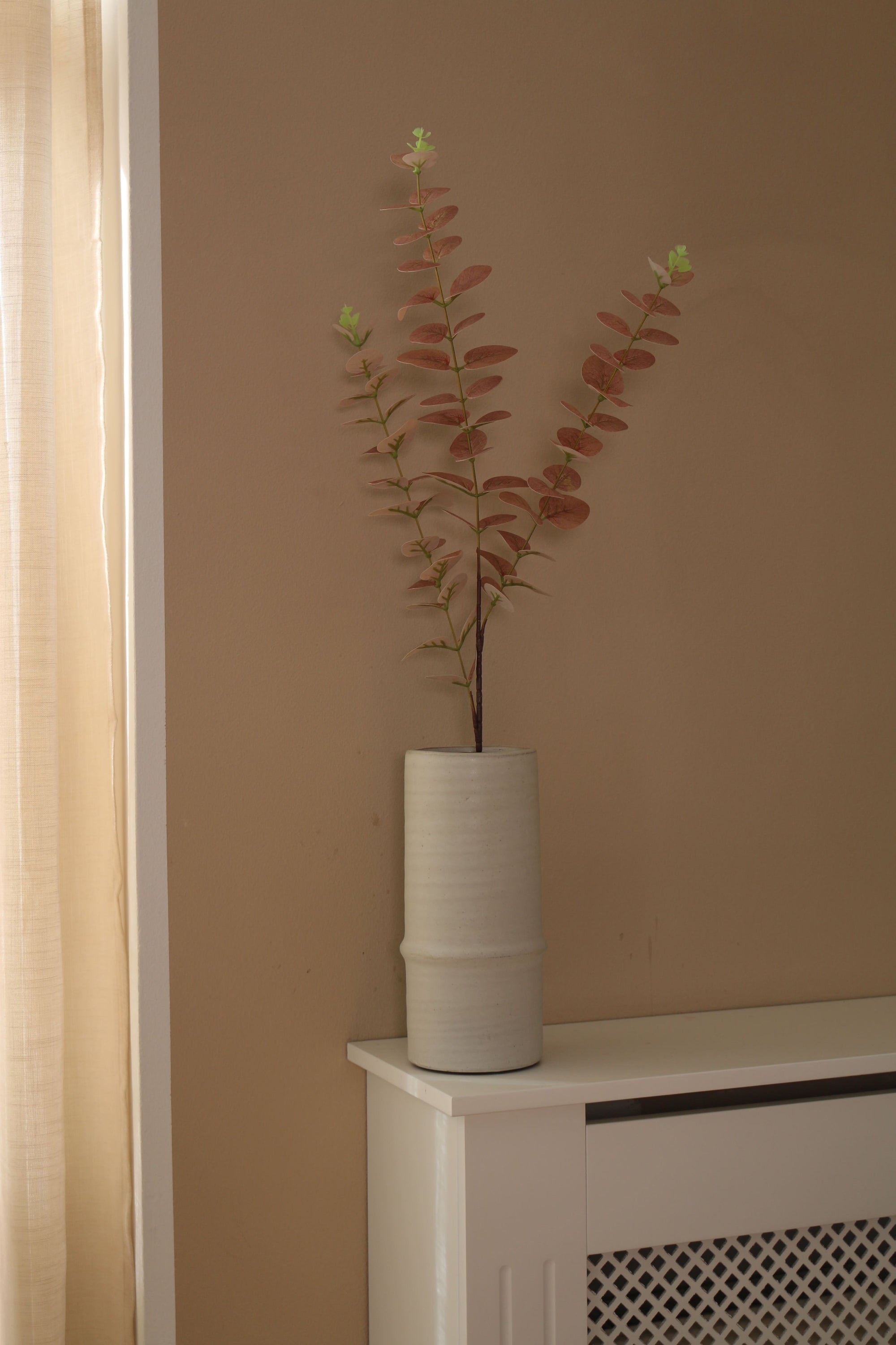 Eucalyptus