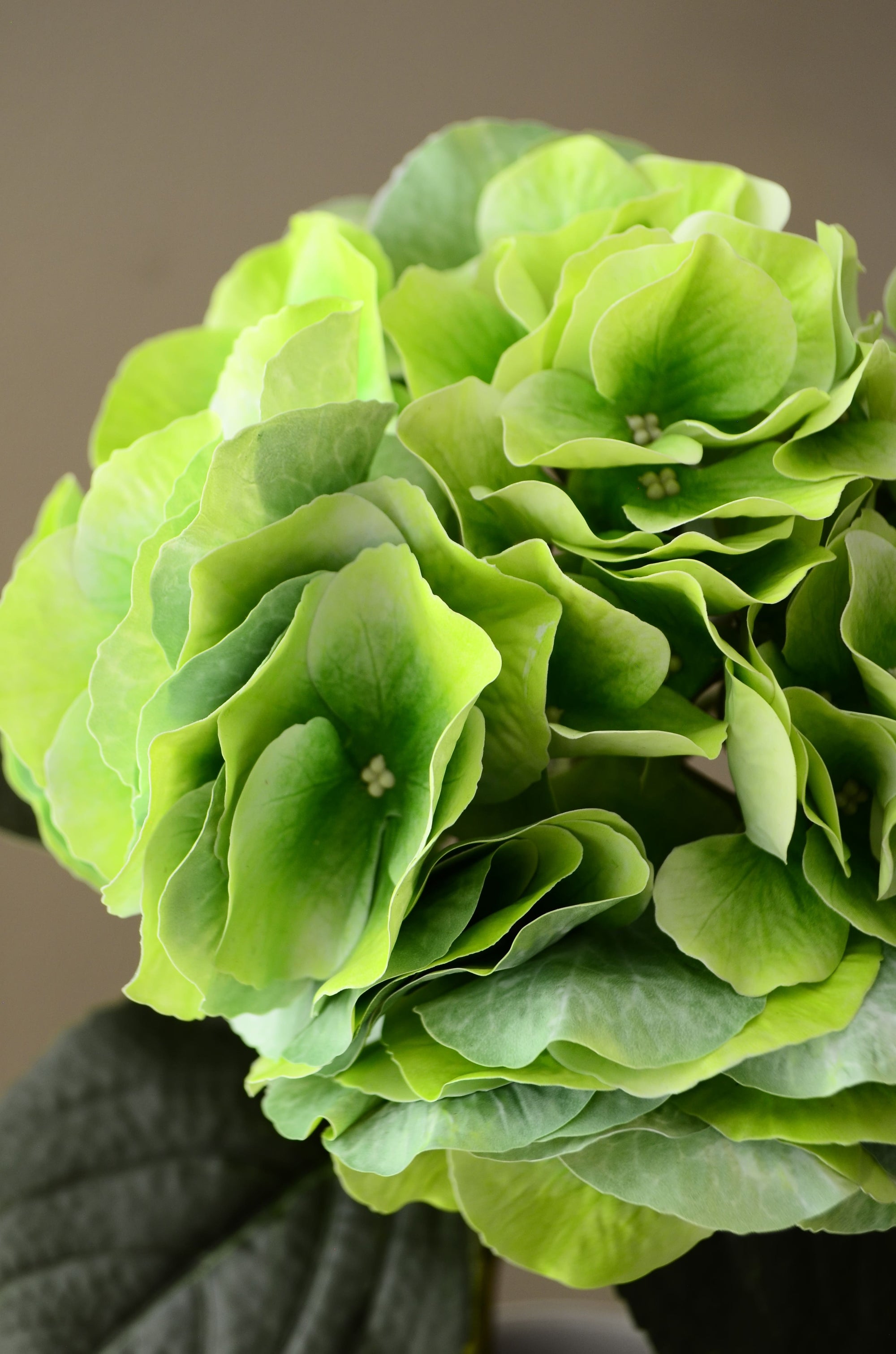 Kunstig Hortensia