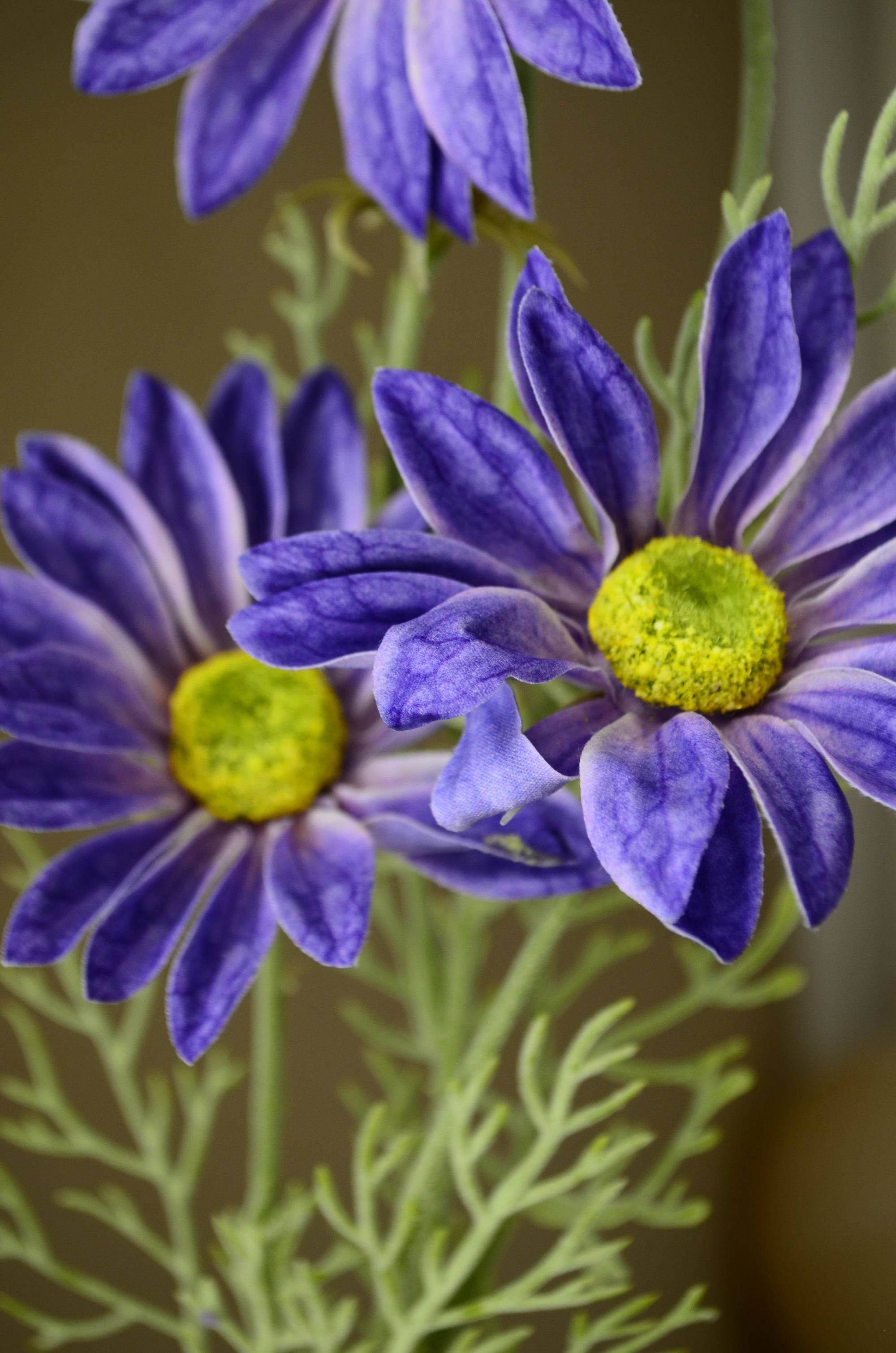 Kunstig Marguerit