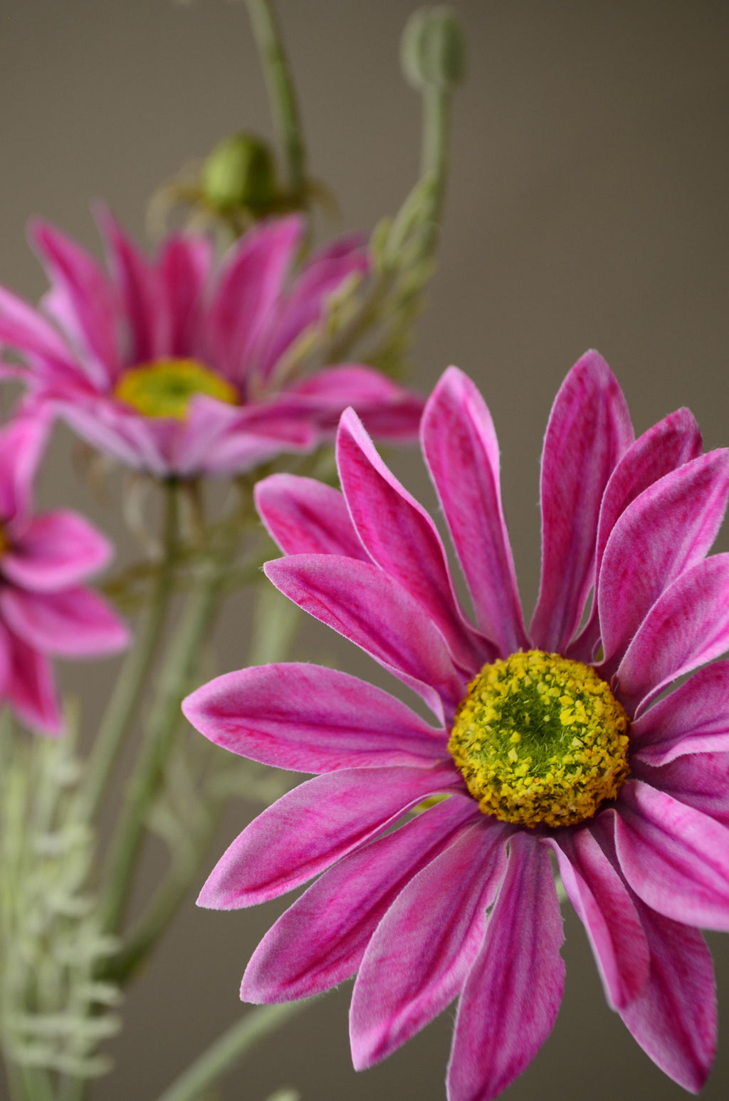 Kunstig Marguerit