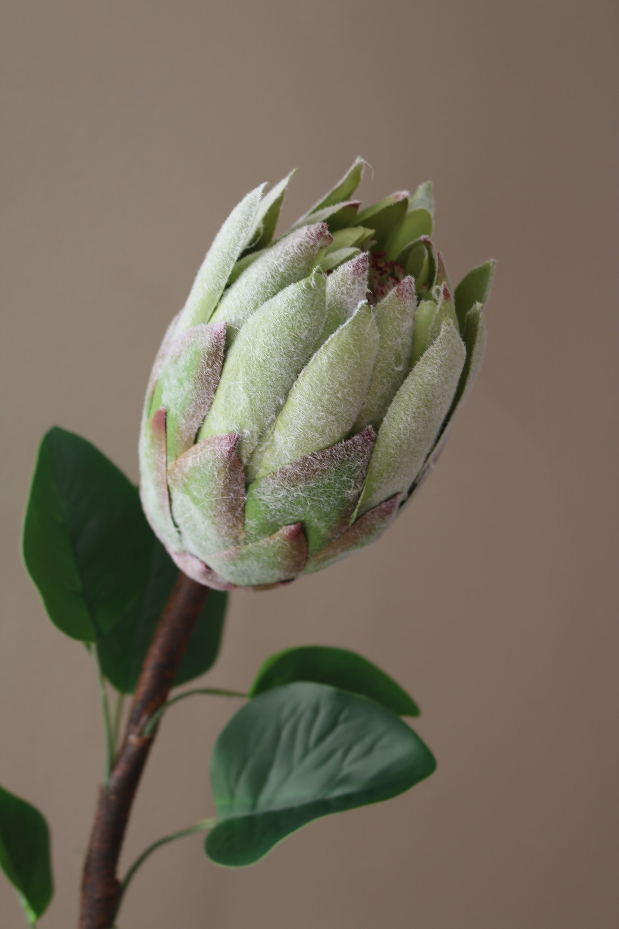 Kunstig Protea