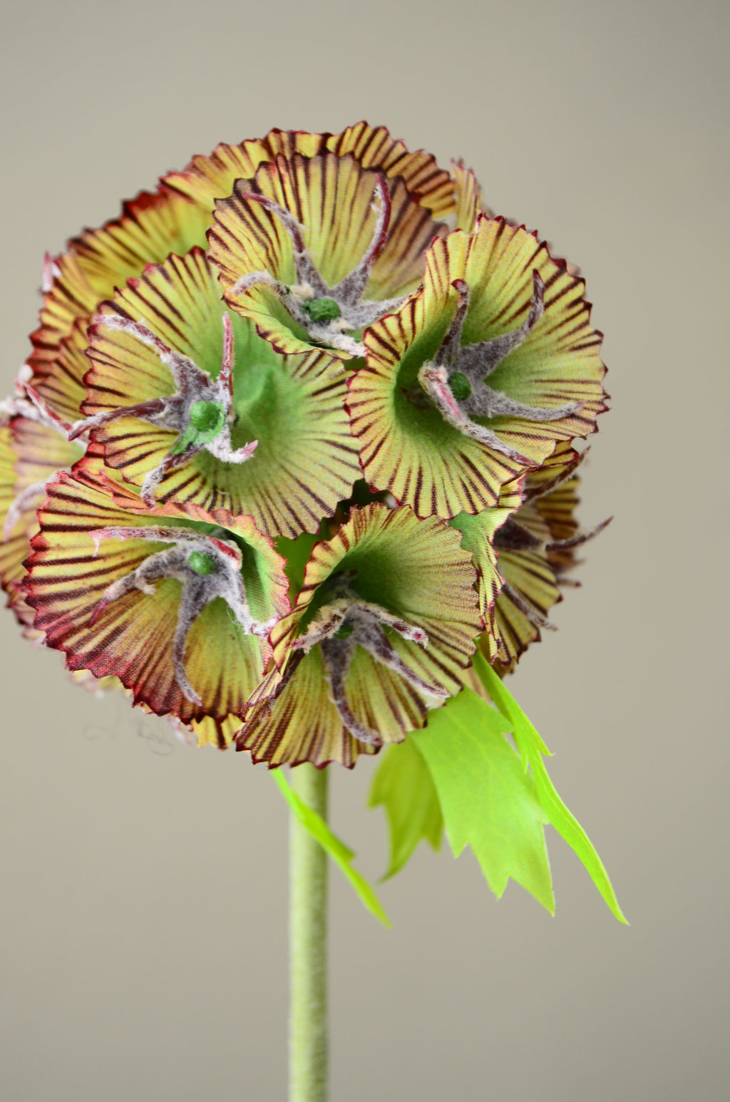 Kunstig Scabiosa