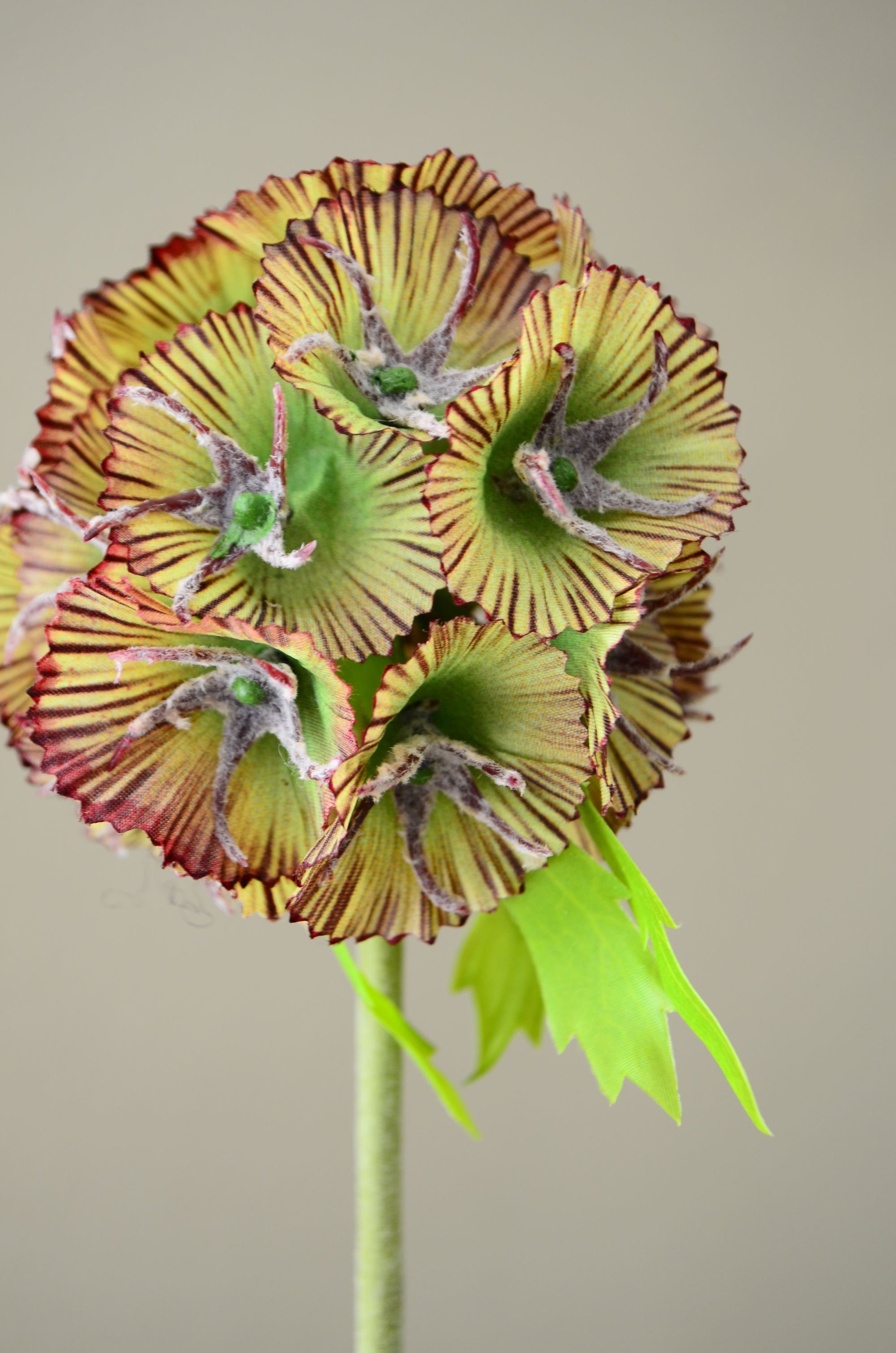Kunstig Scabiosa