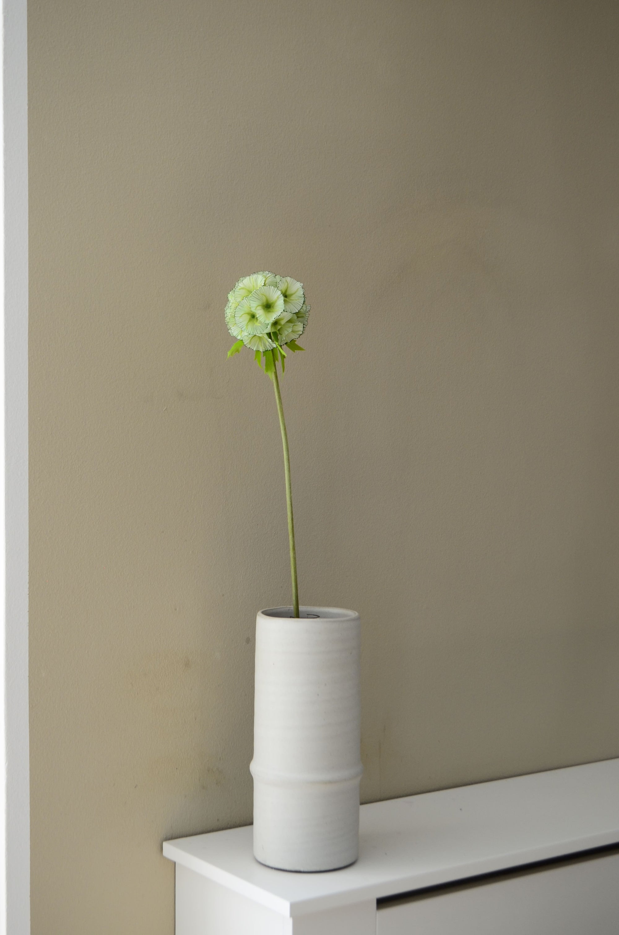 Kunstig Scabiosa