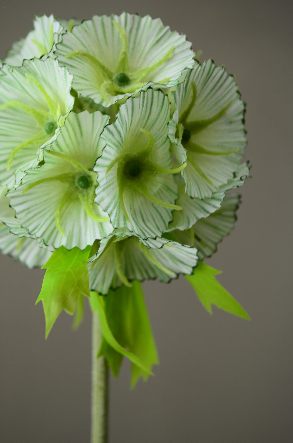 Kunstig Scabiosa