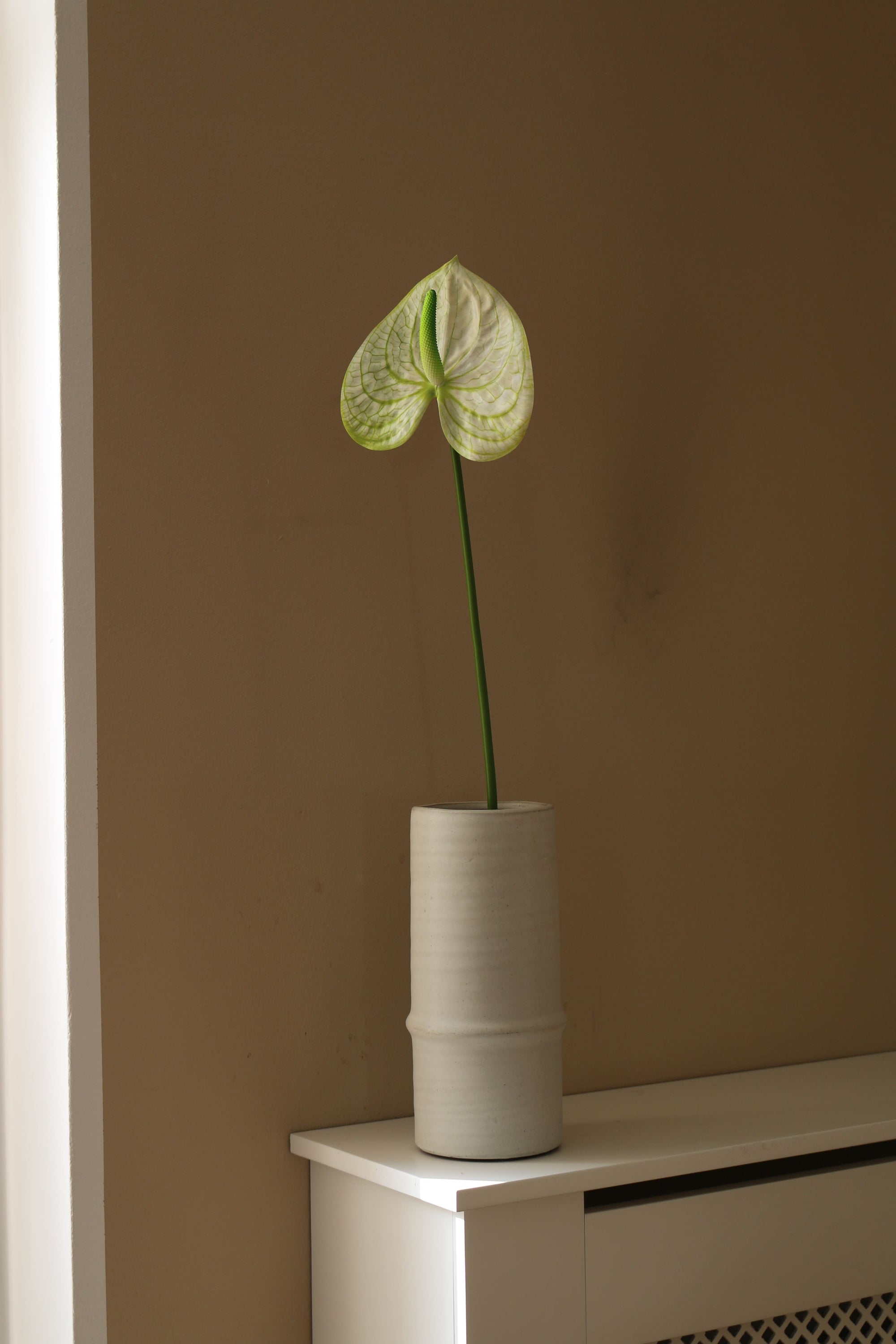 Kunstig Hjerte Anthurium