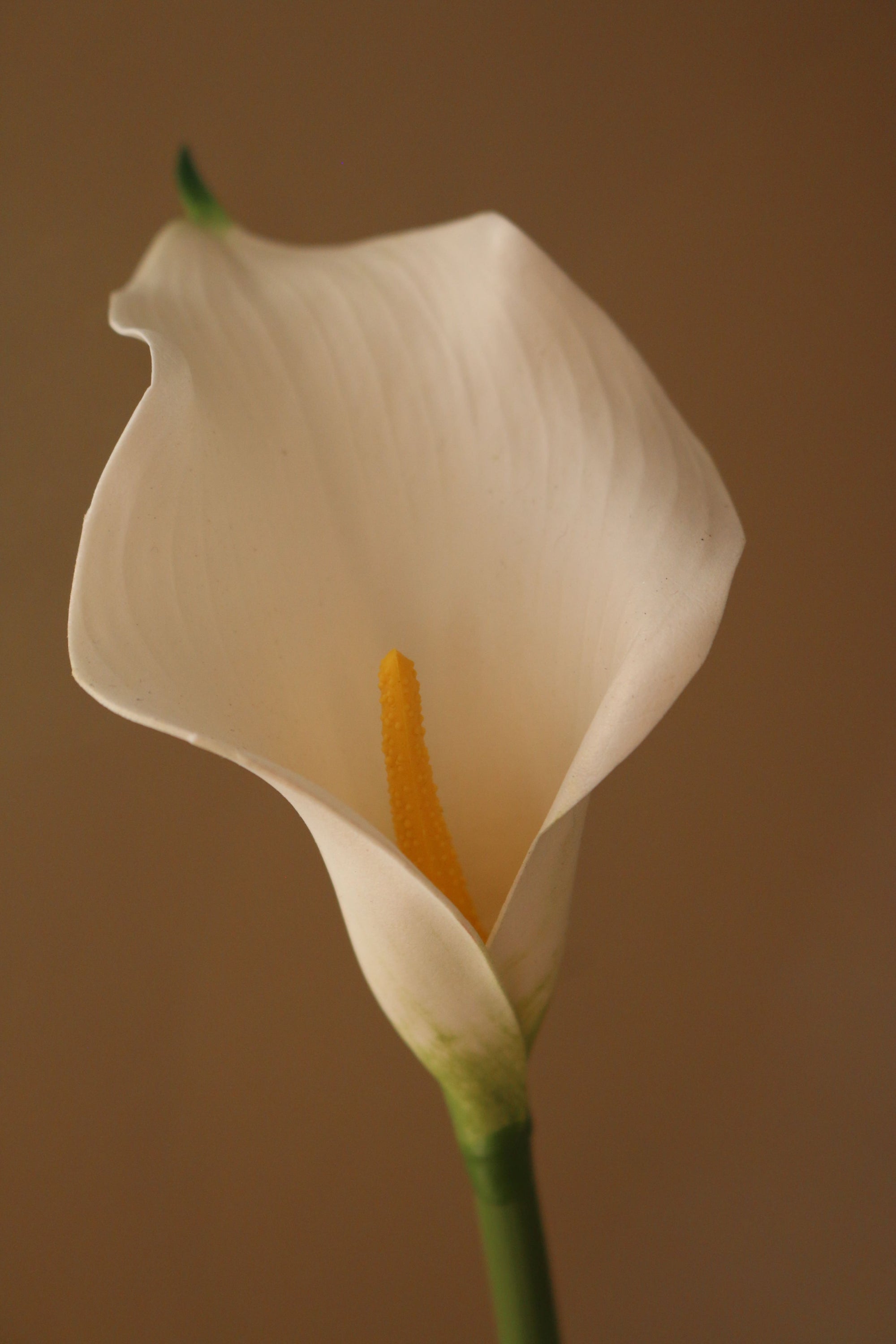 Kunstig Calla Lilje