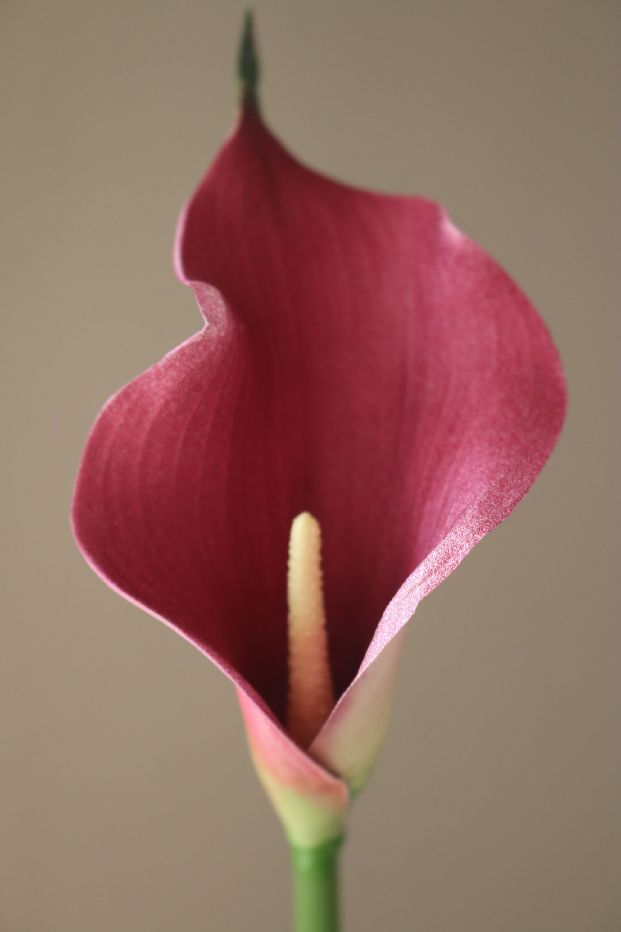 Kunstig Calla Lilje