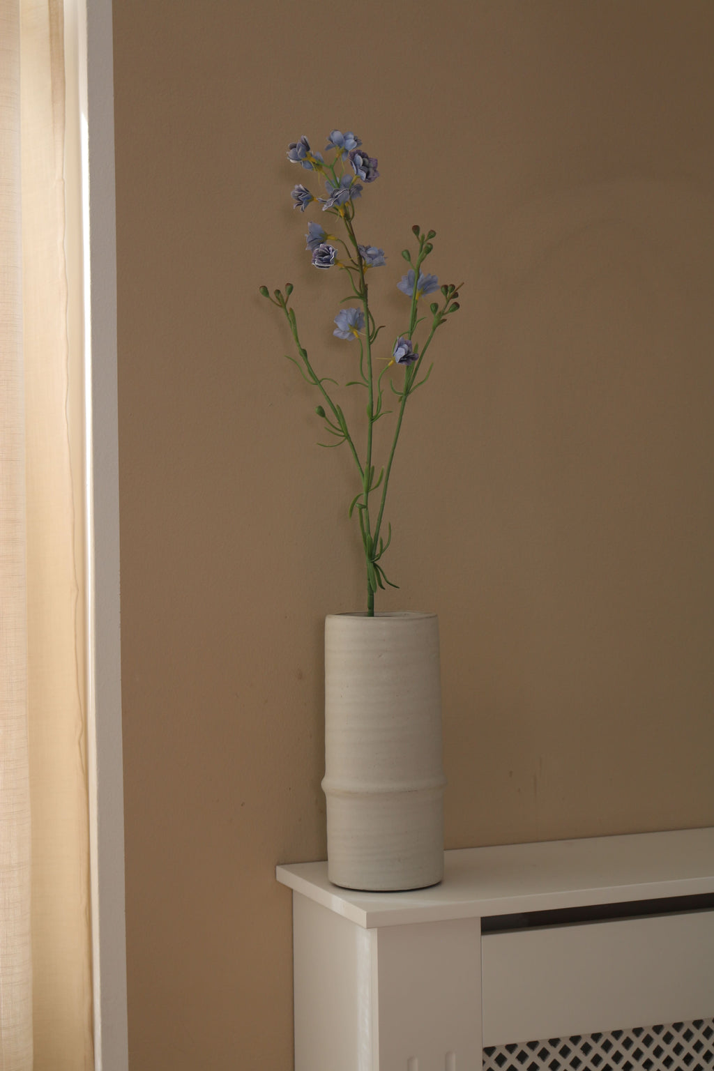 Delphinium
