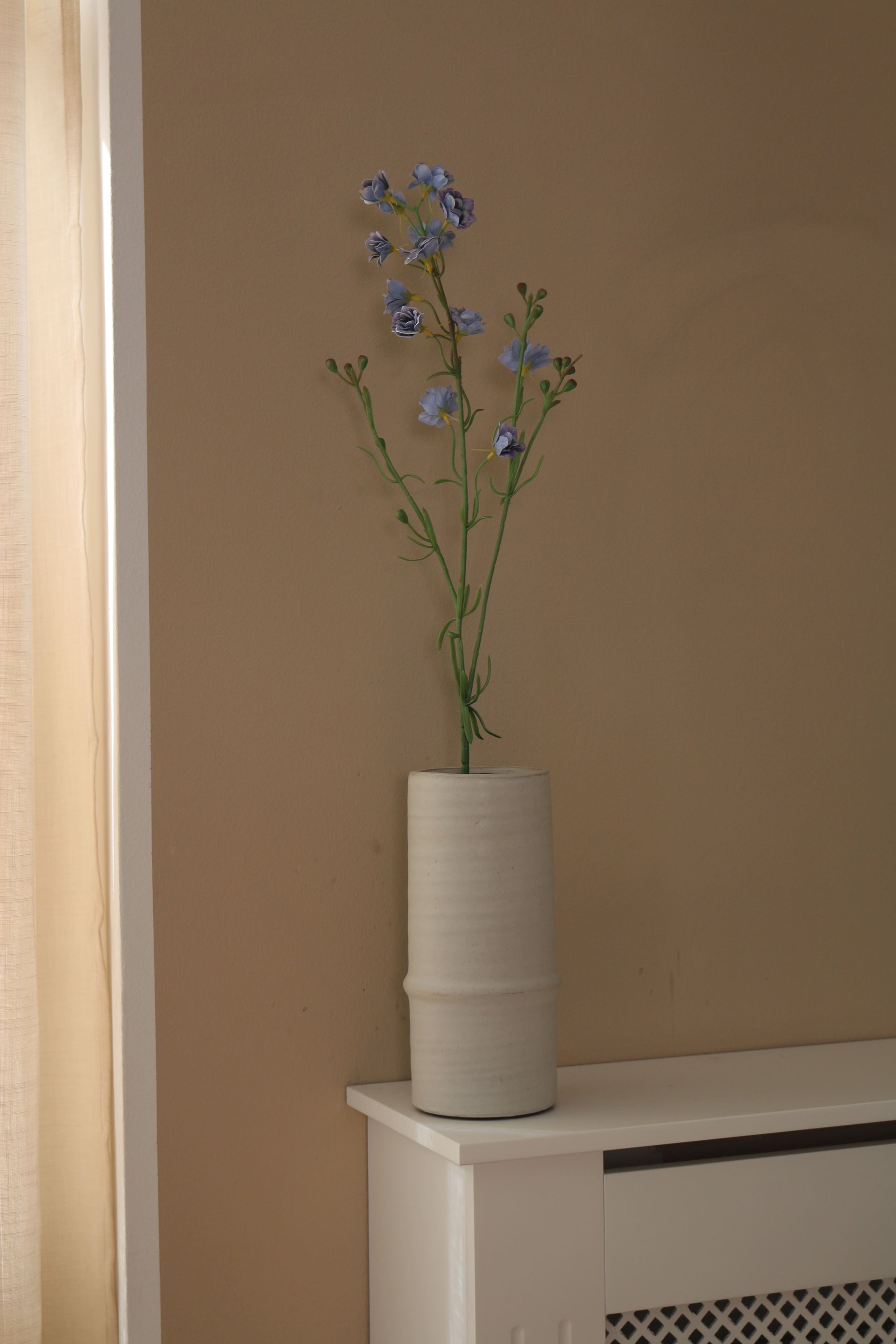 Delphinium
