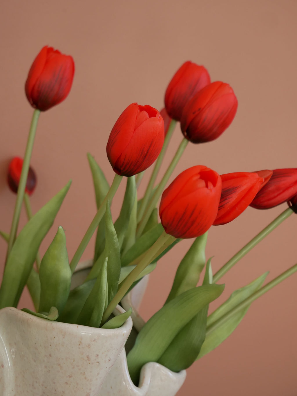 Christmas Tulips
