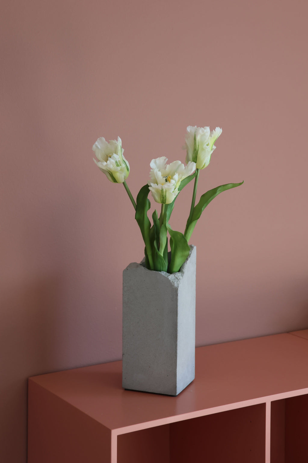 Papegøje tulipan hvid