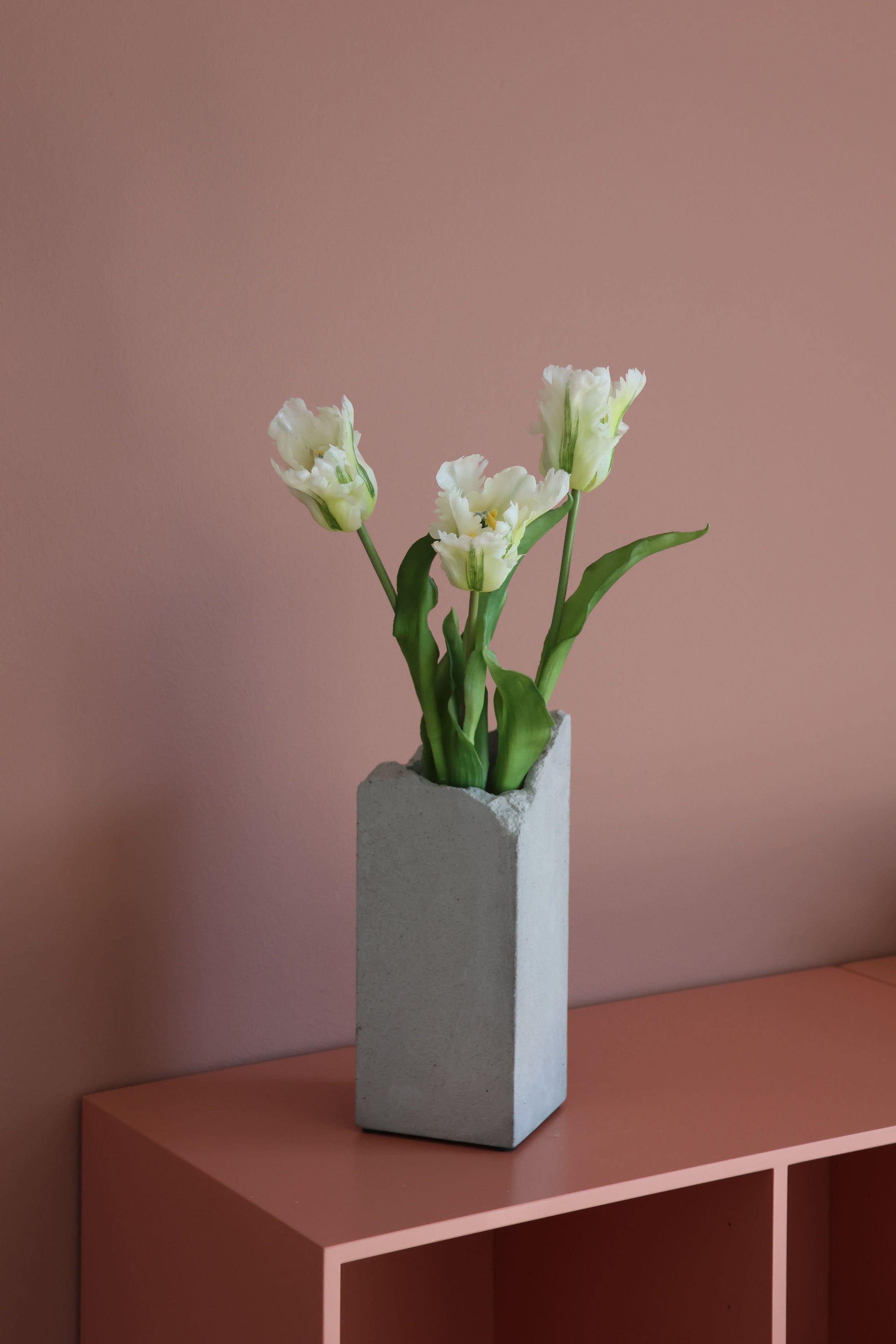 Papegøje tulipan hvid