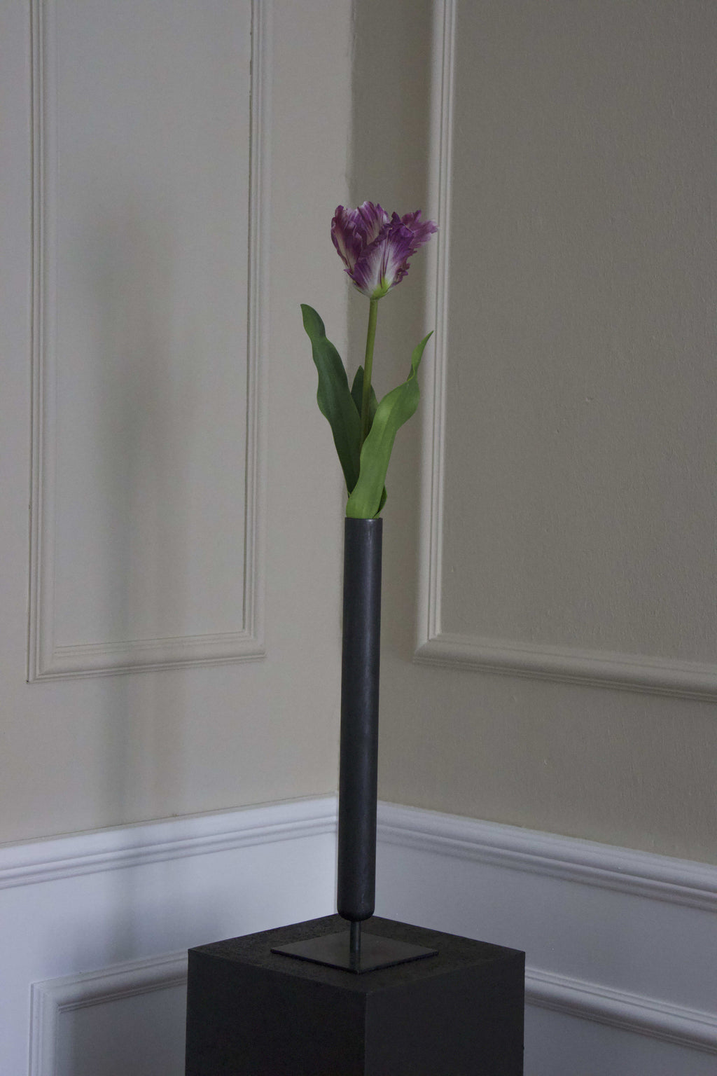 Papegøje tulipan
