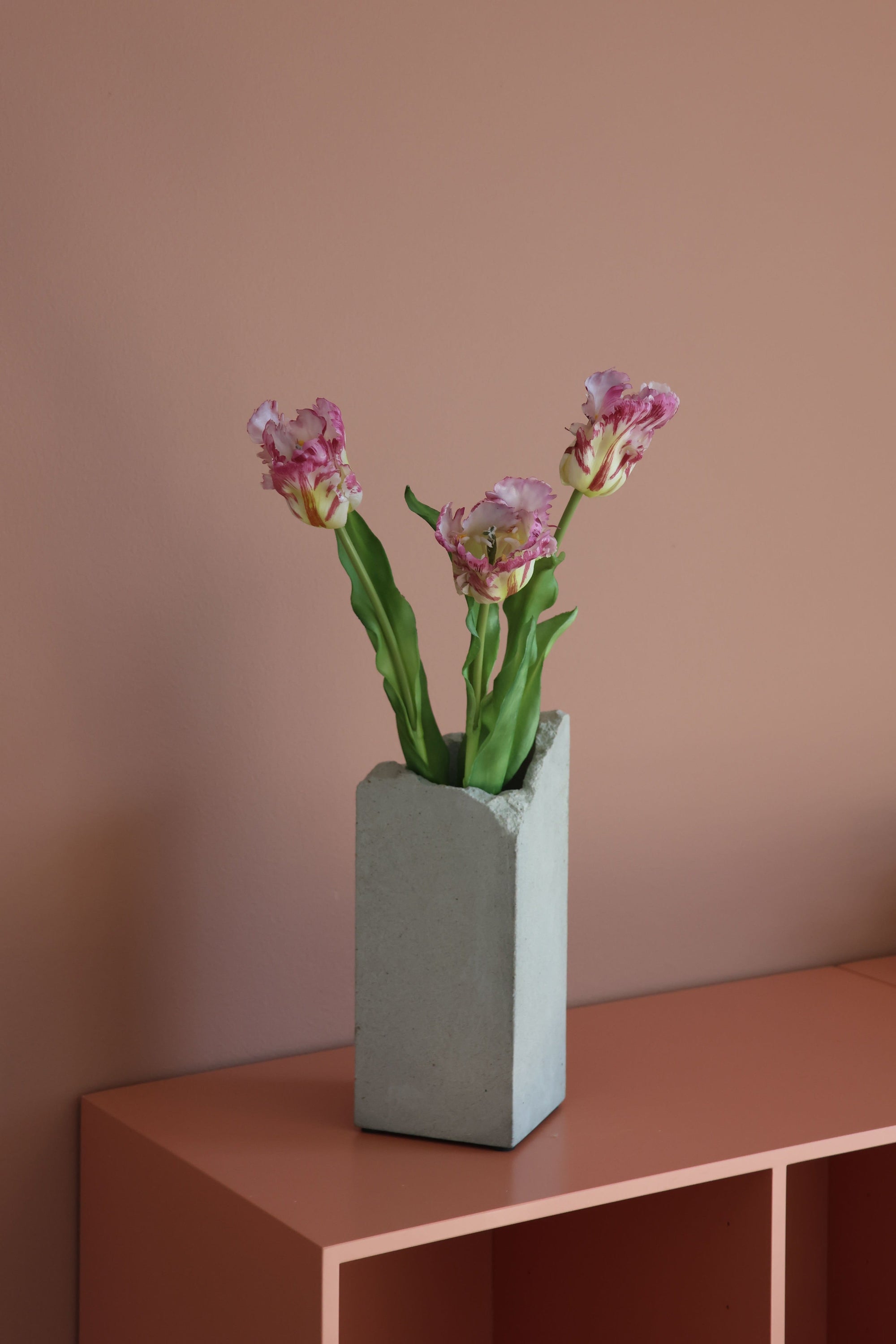 Papegøje tulipan lilla