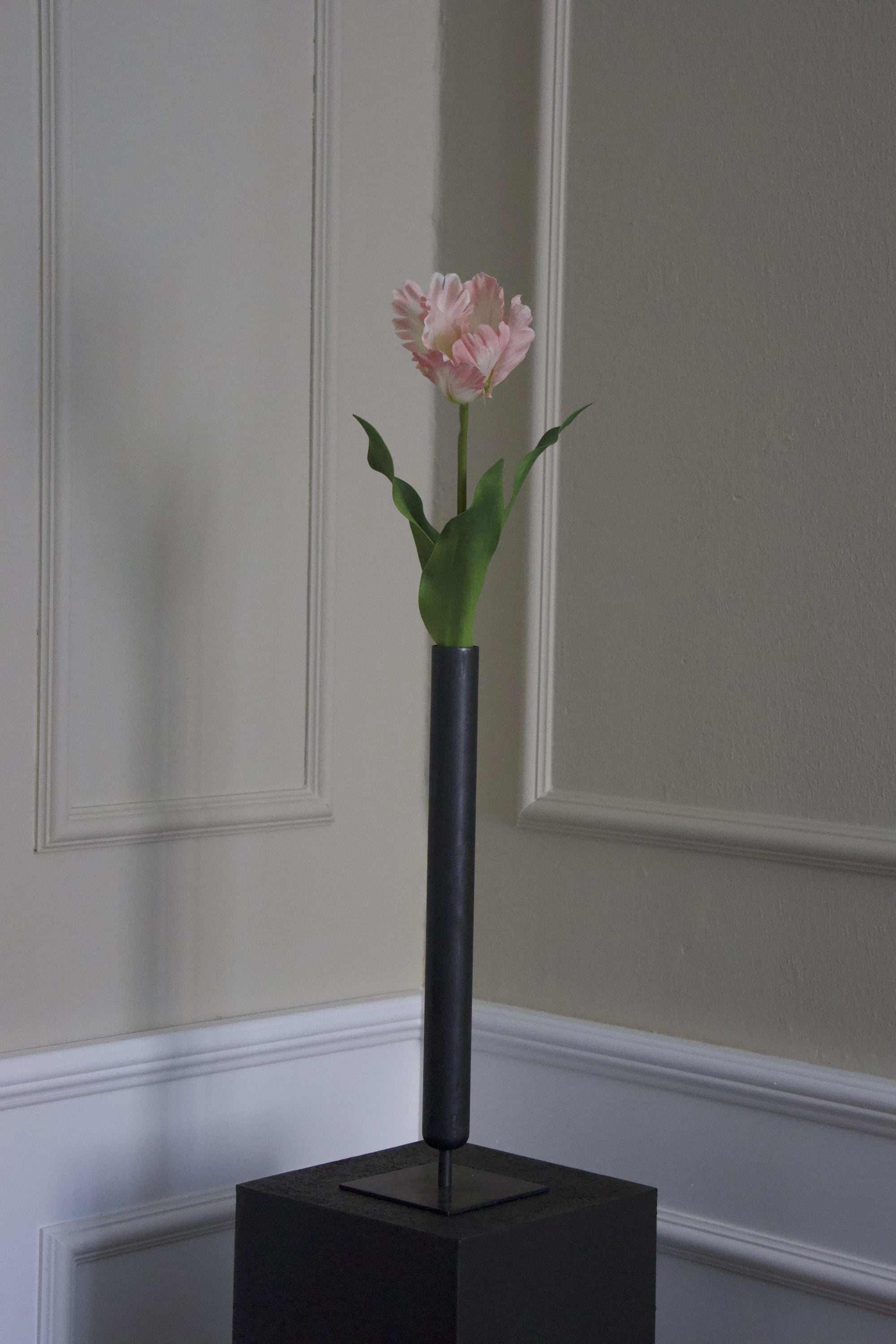 Papegøje tulipan