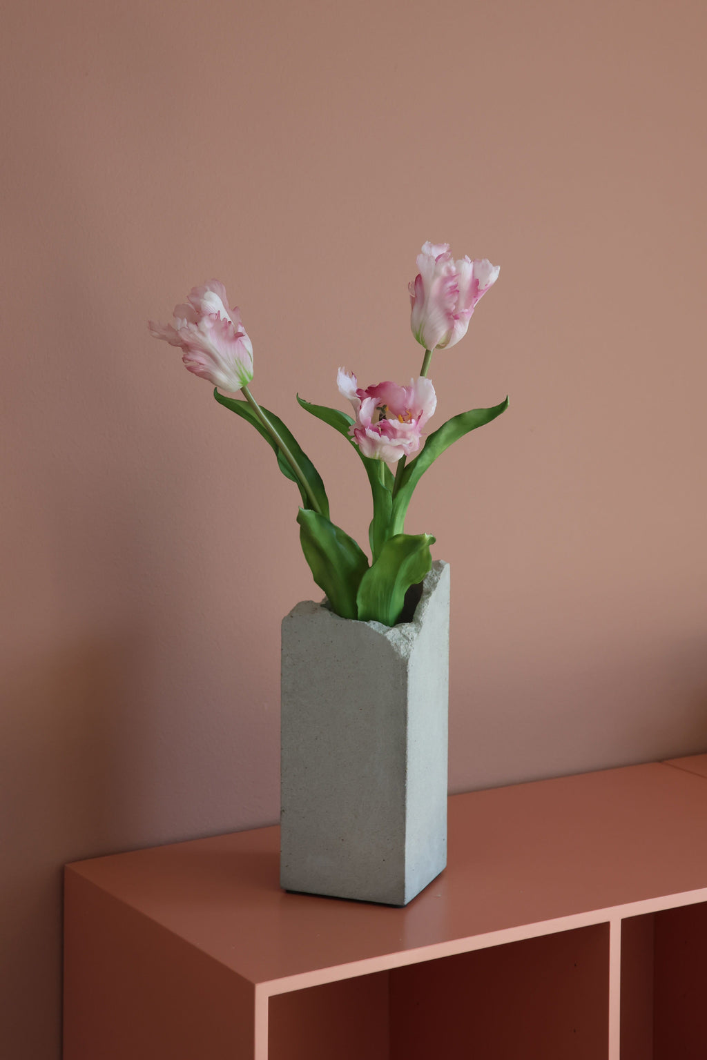 Papegøje Tulipan Lyserød