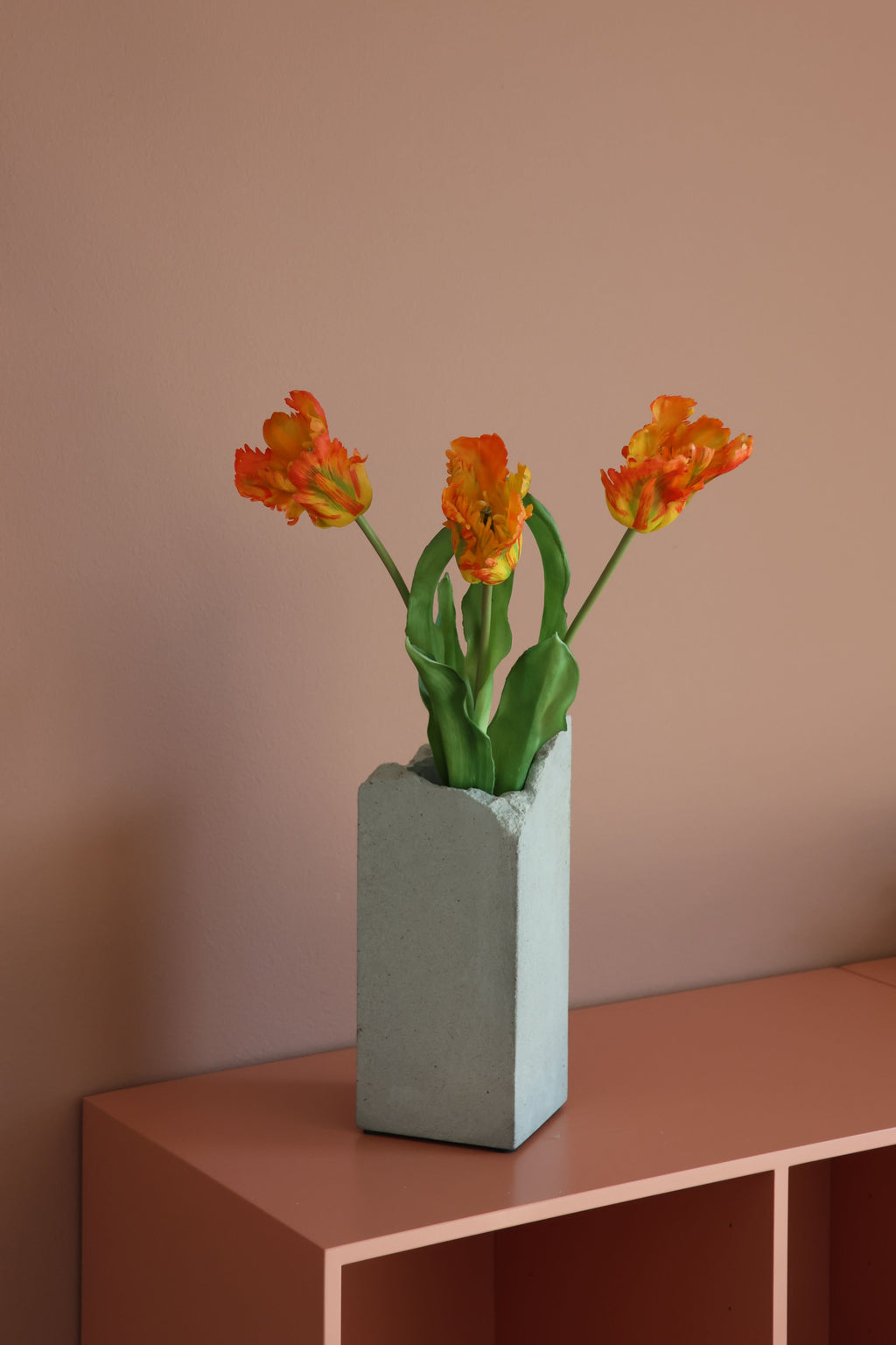 Papegøje tulipan orange