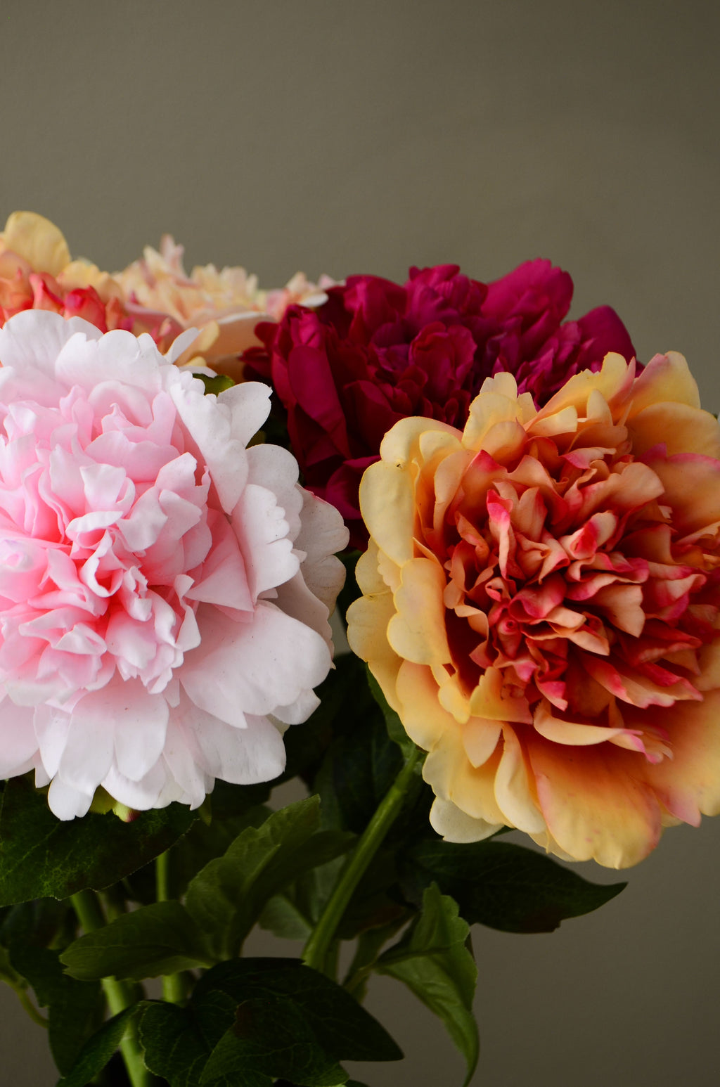 Peony Sunset