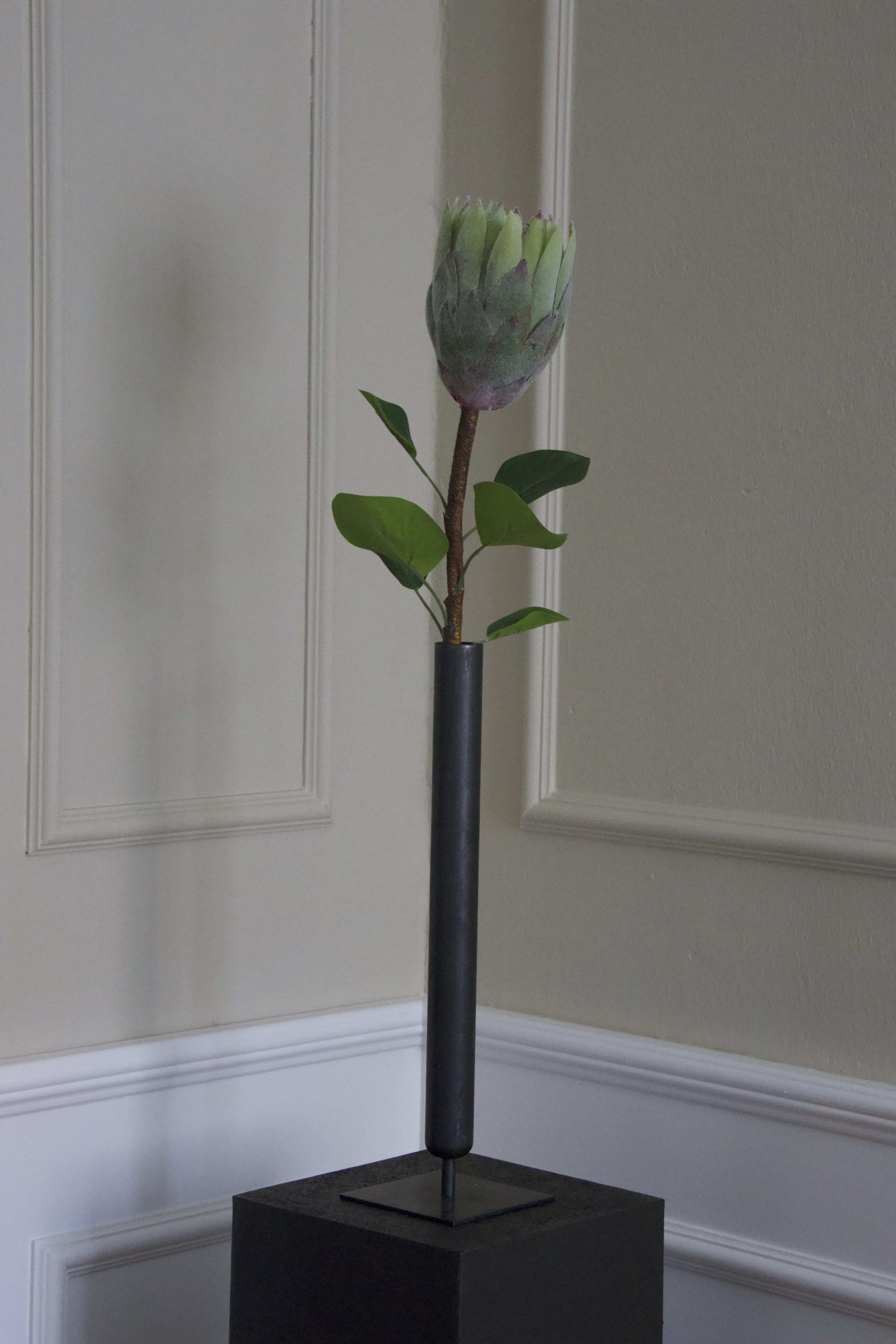 Protea
