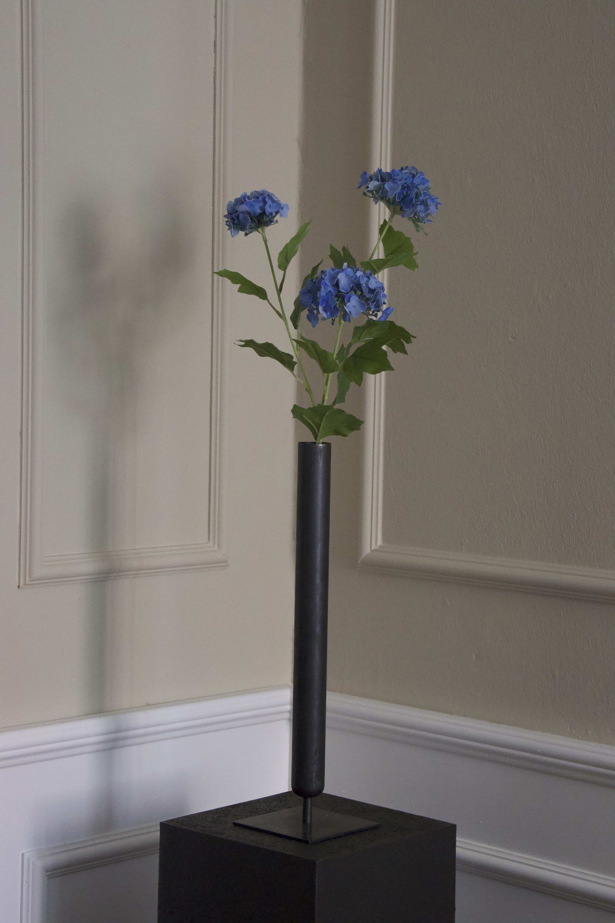 Snowball Hortensia