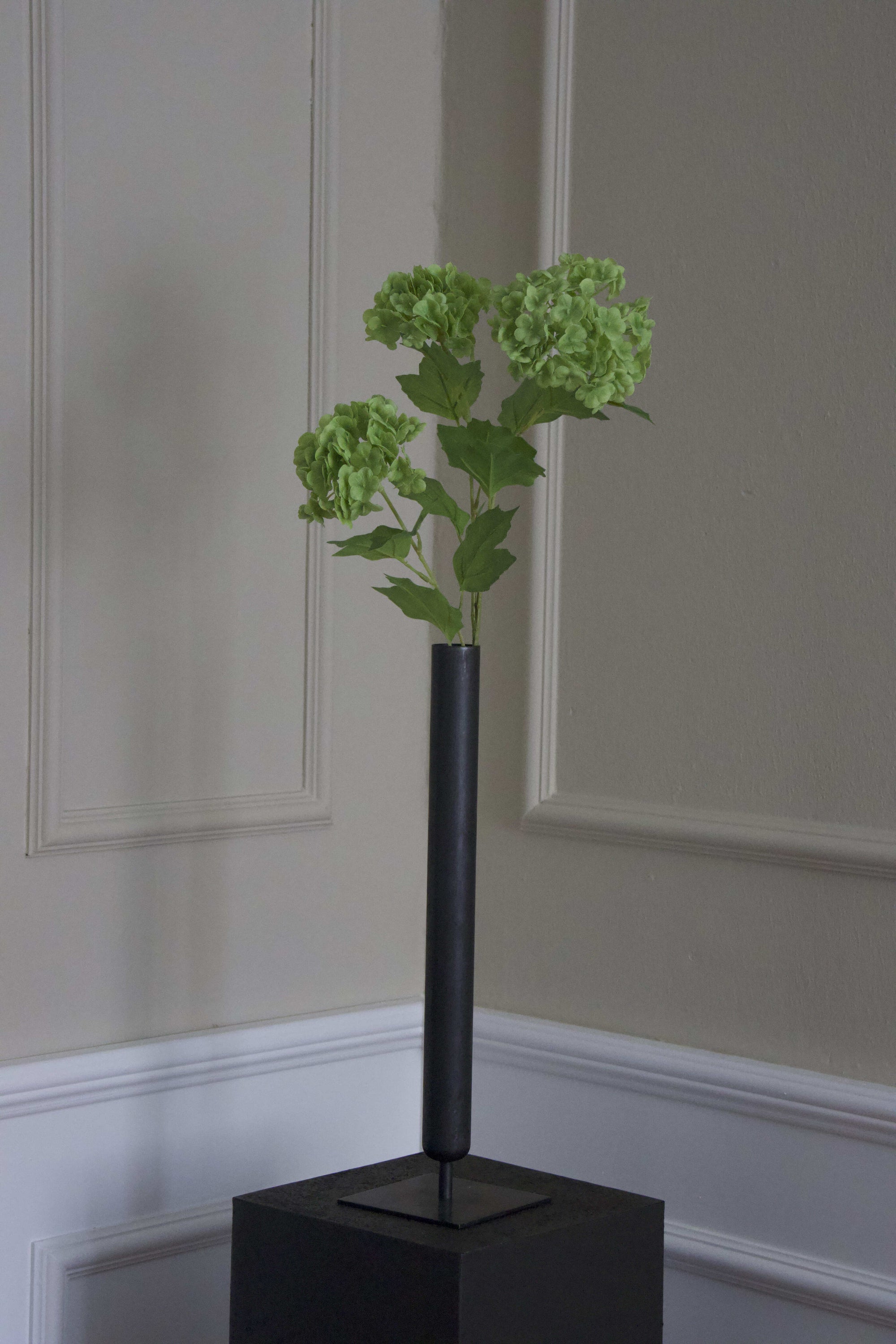 Snowball Hortensia