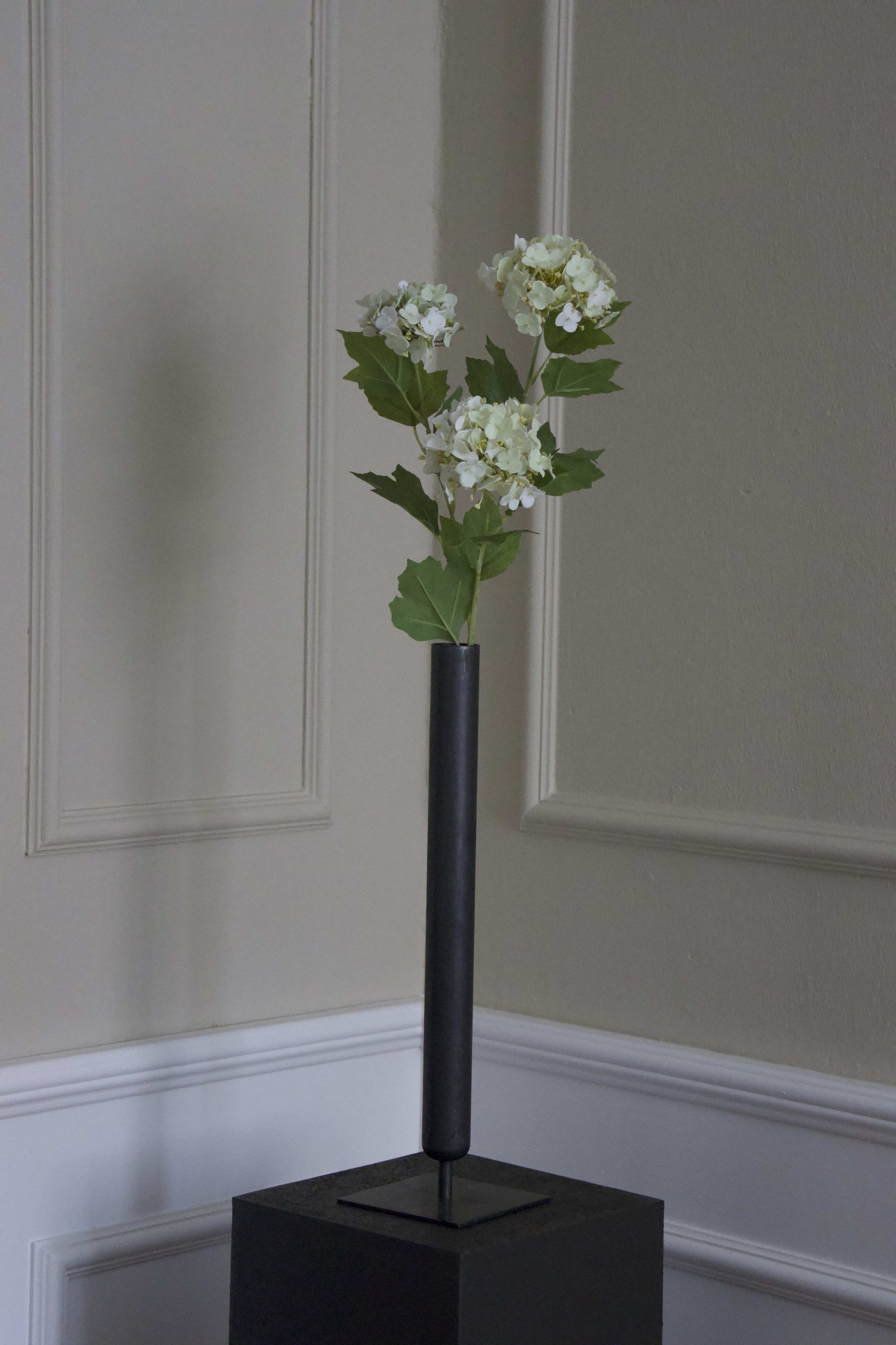 Snowball Hortensia