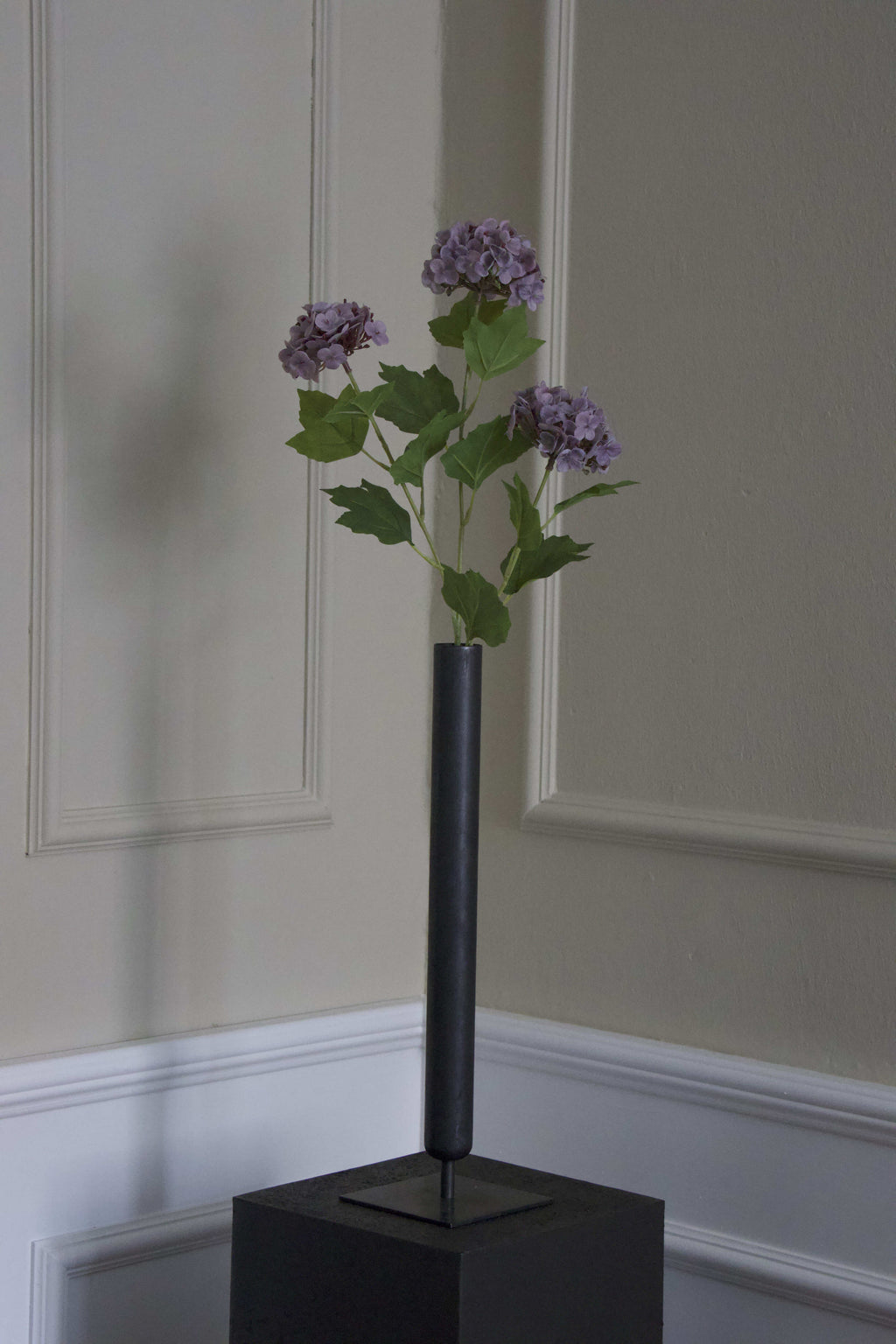 Snowball Hortensia