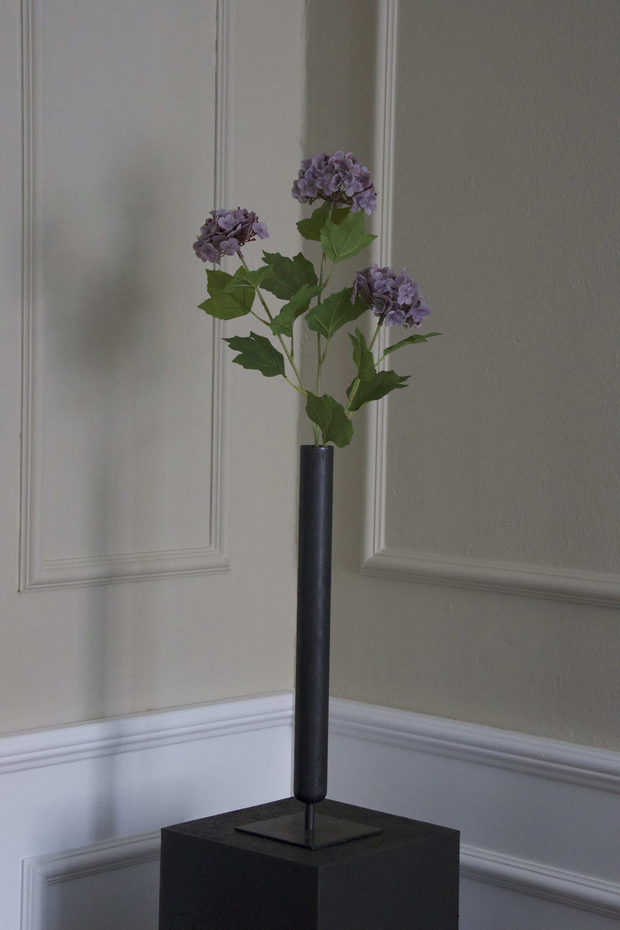 Snowball Hortensia
